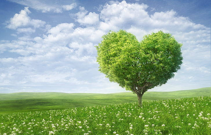 heart-shaped tree, vibrant green meadow, white flowers, SD Desktop Wallpaper