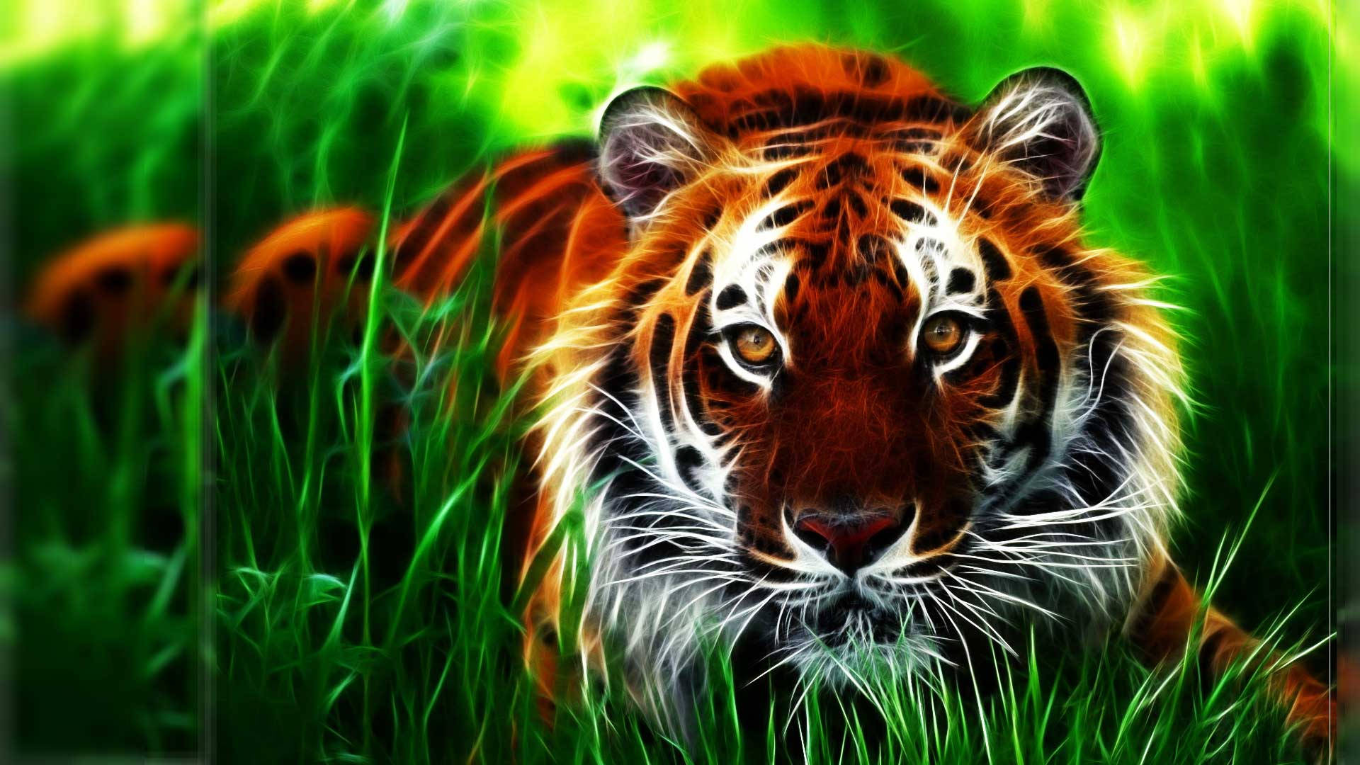 Full Screen HD, tiger, glowing amber eyes, Full HD Desktop Wallpaper