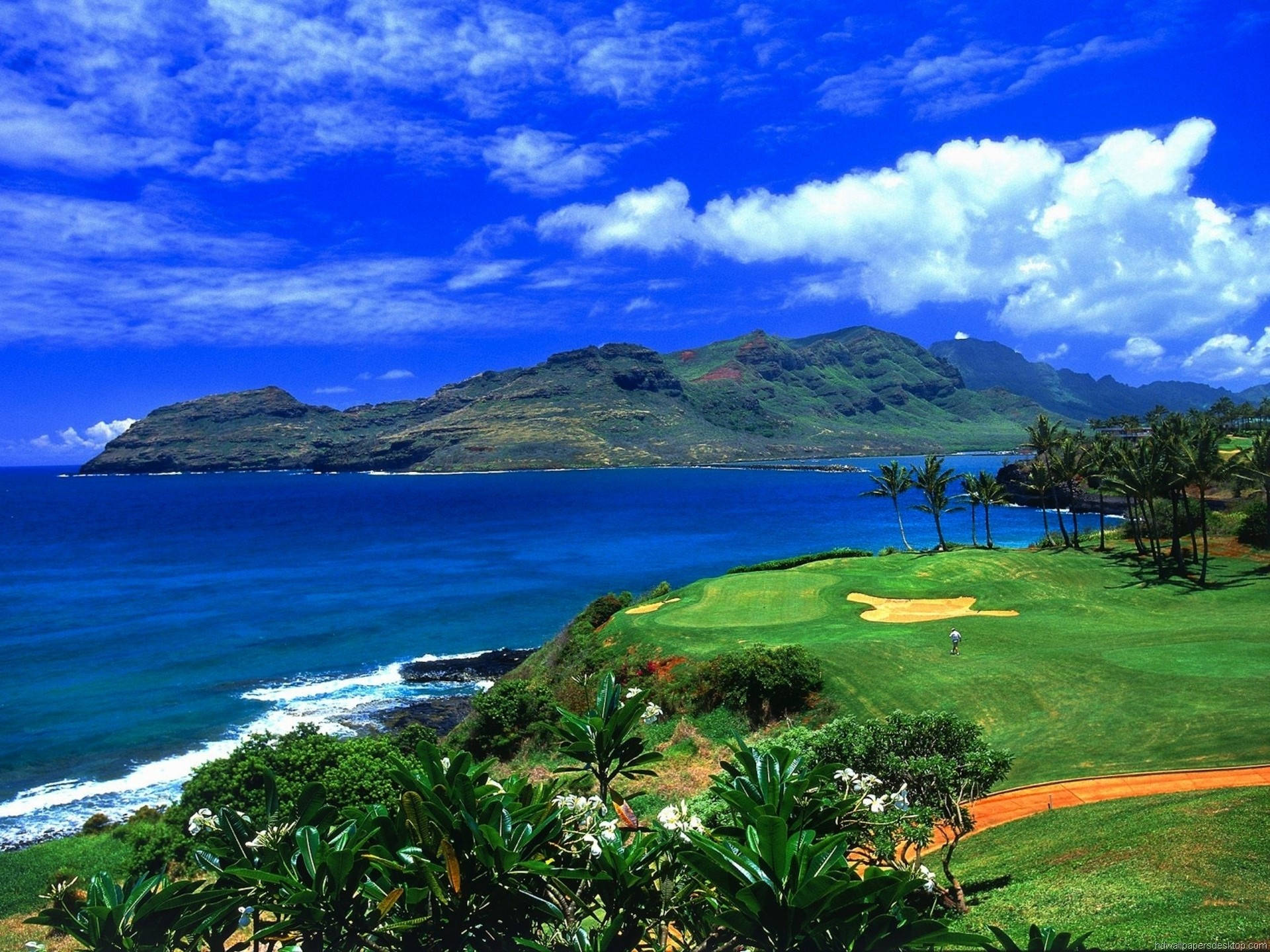 Full Screen HD, lush green coastal course, turquoise ocean waves, Full HD Desktop Wallpaper