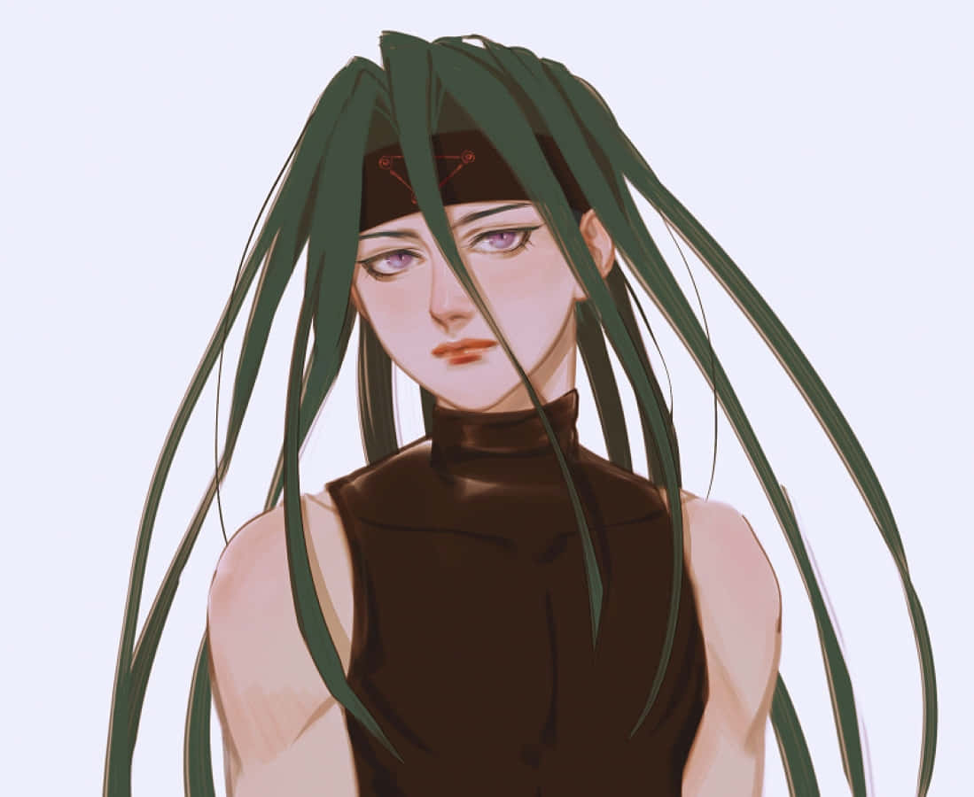 Fullmetal Alchemist, Envy, long green hair, SD Desktop Wallpaper