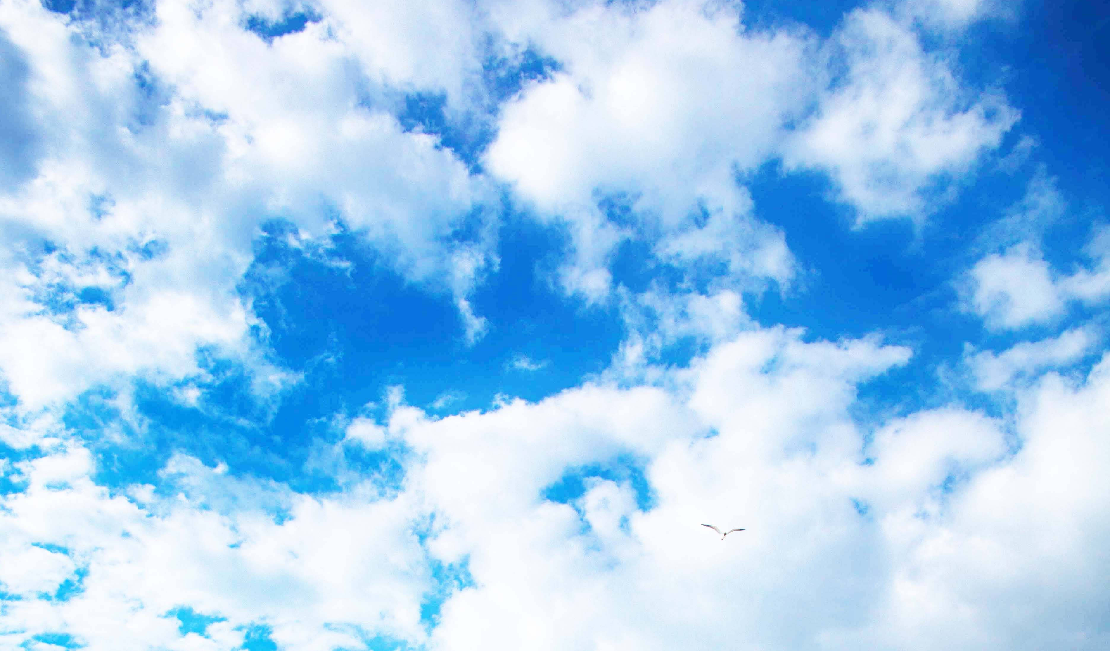 bright blue funeral clouds, vibrant blue sky, fluffy white clouds, 2K Desktop Wallpaper