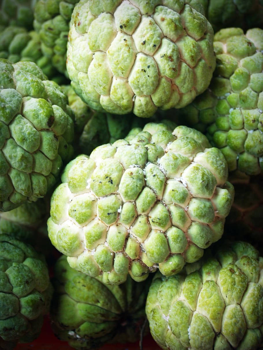 custard apples, white fungus, green, SD Phone Wallpaper