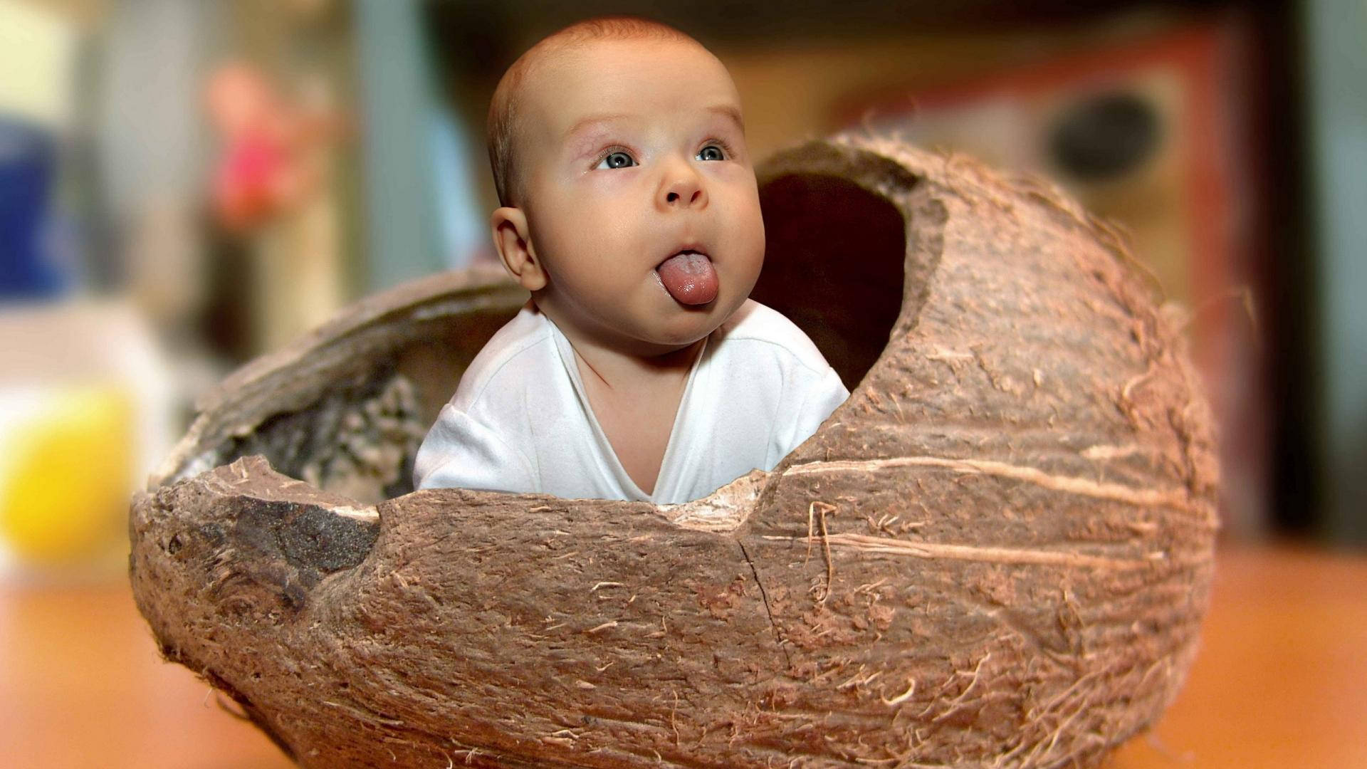 coconut shell, white onesie, baby, Full HD Desktop Wallpaper