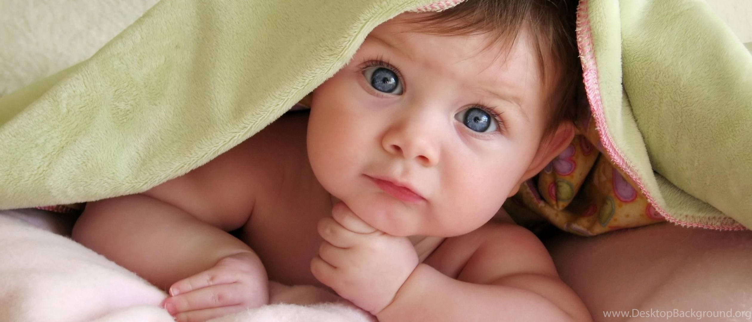 blue eyes, green blanket, fluffy white surface, Full HD Desktop Wallpaper