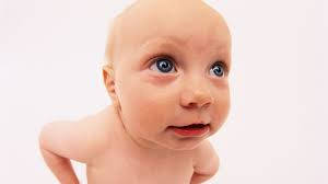bald baby, wide blue eyes, plain white background, SD Desktop Wallpaper