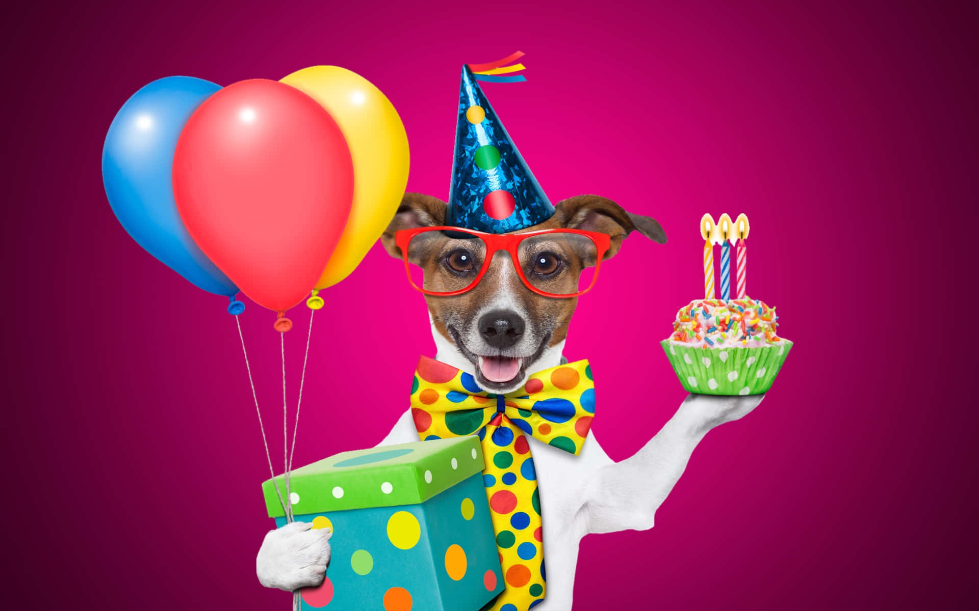 jack russell terrier, party hat, glasses, Full HD Desktop Wallpaper