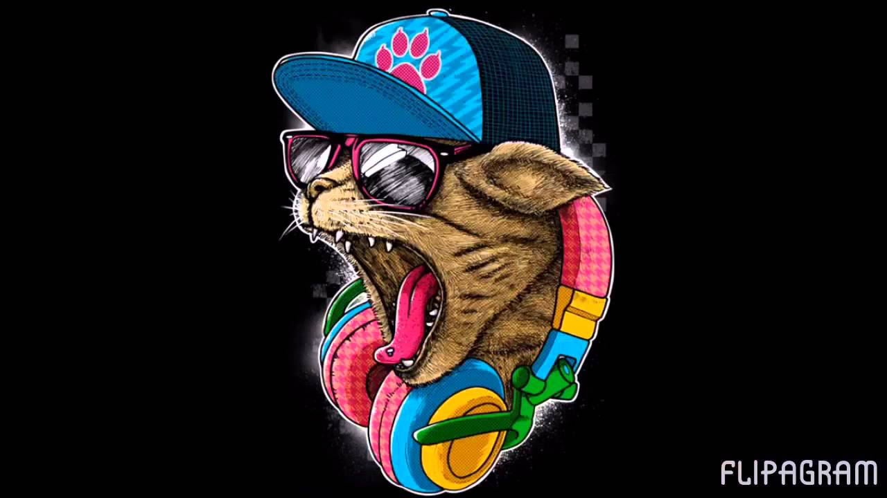 Funky Punk Rock Cat, blue cap, sunglasses, HD Desktop Wallpaper