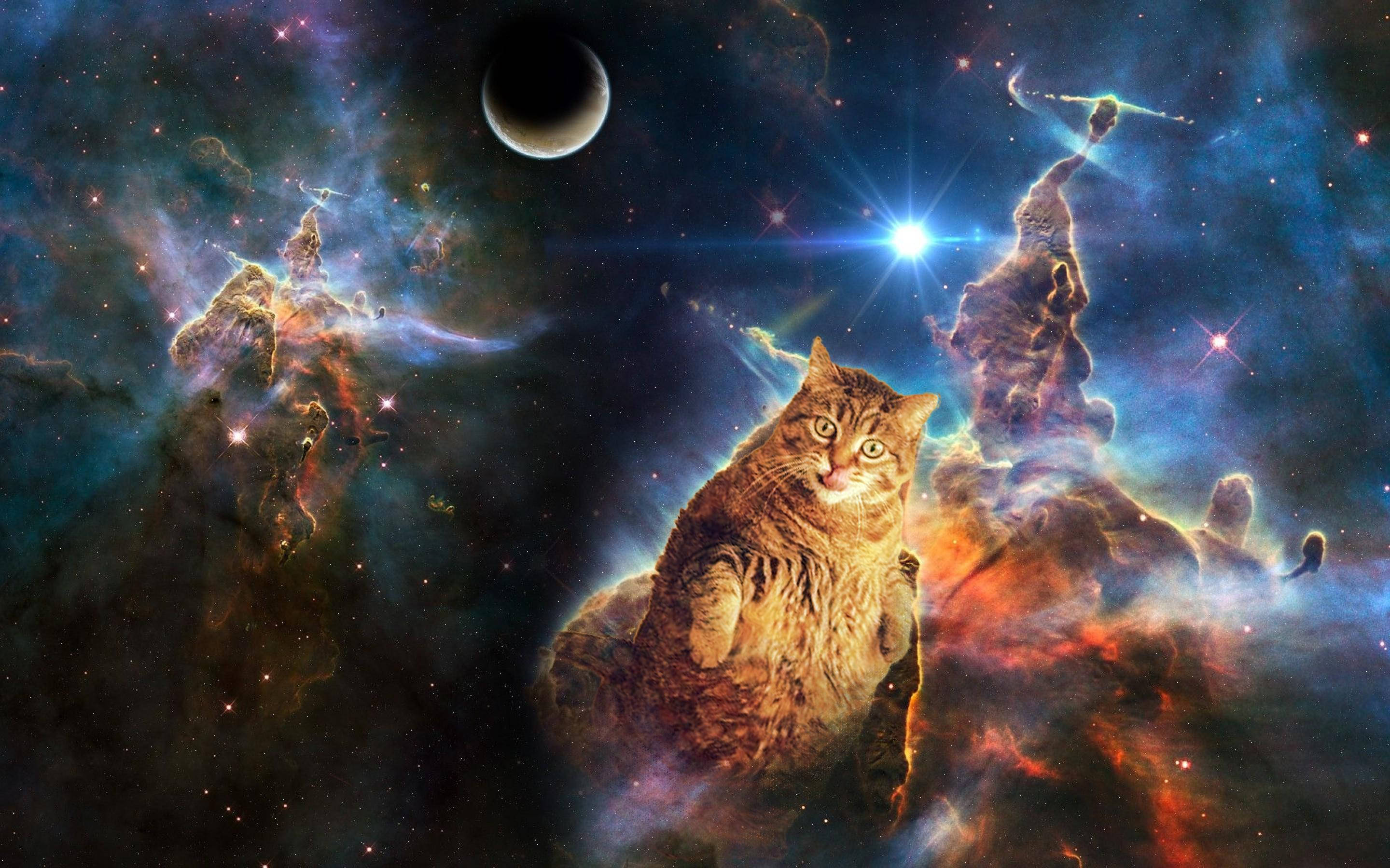 tabby cat, cosmic nebula, glowing stars, 2K Desktop Wallpaper