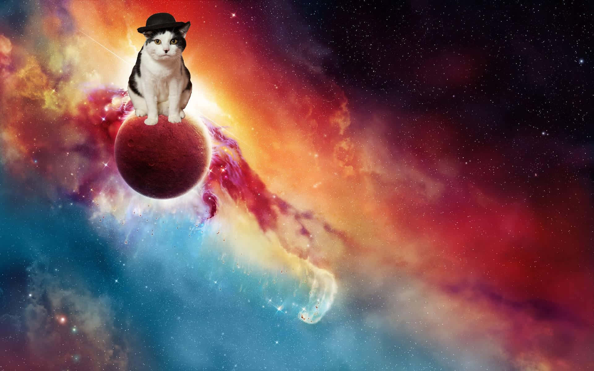 Galaxy Cat, bowler hat, red planet, Full HD Desktop Wallpaper