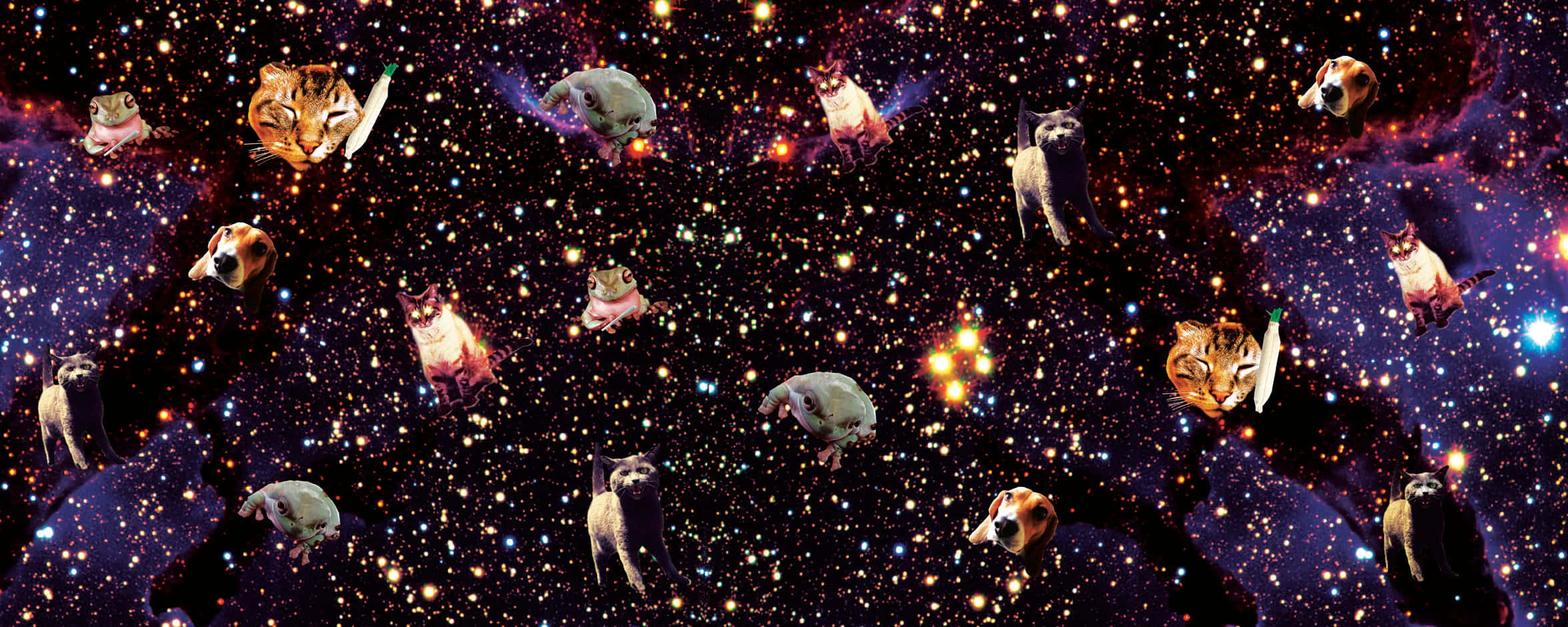 Galaxy Cat, glowing stars, cosmic clouds, Full HD Desktop Wallpaper