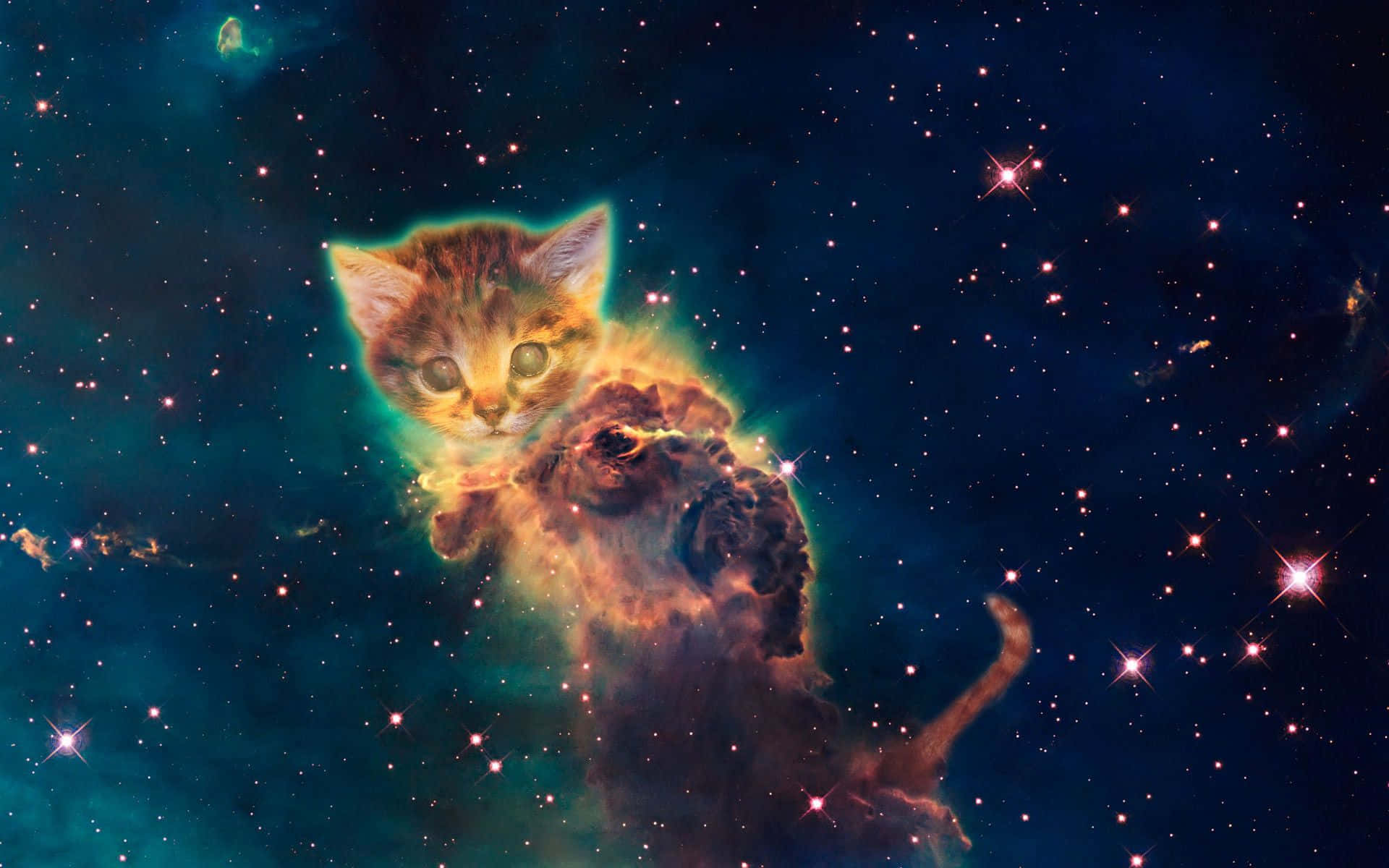 Galaxy Nebula, tabby kitten, cosmic nebula, Full HD Desktop Wallpaper