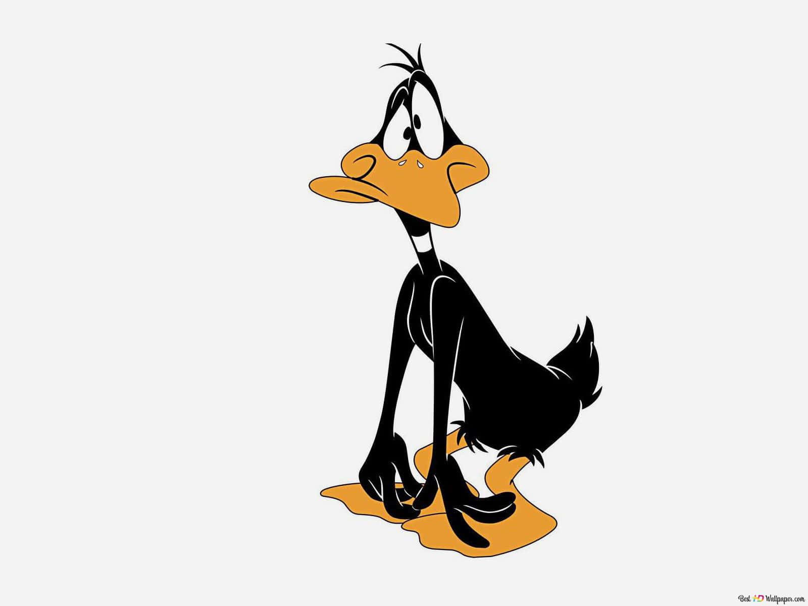 classic cartoon duck, long neck, orange beak, HD Desktop Wallpaper