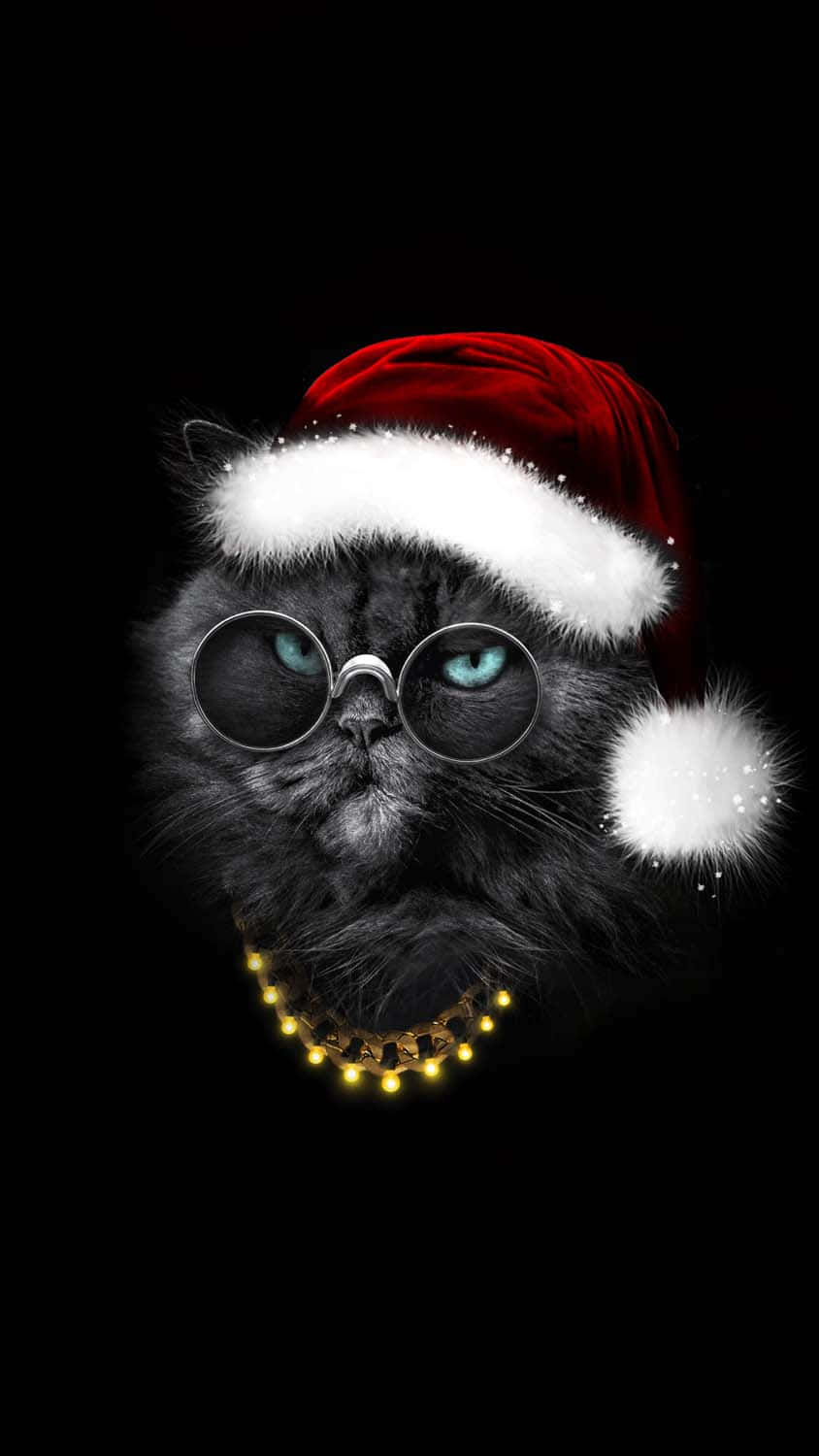 black cat, glowing blue eyes, round glasses, HD Phone Wallpaper