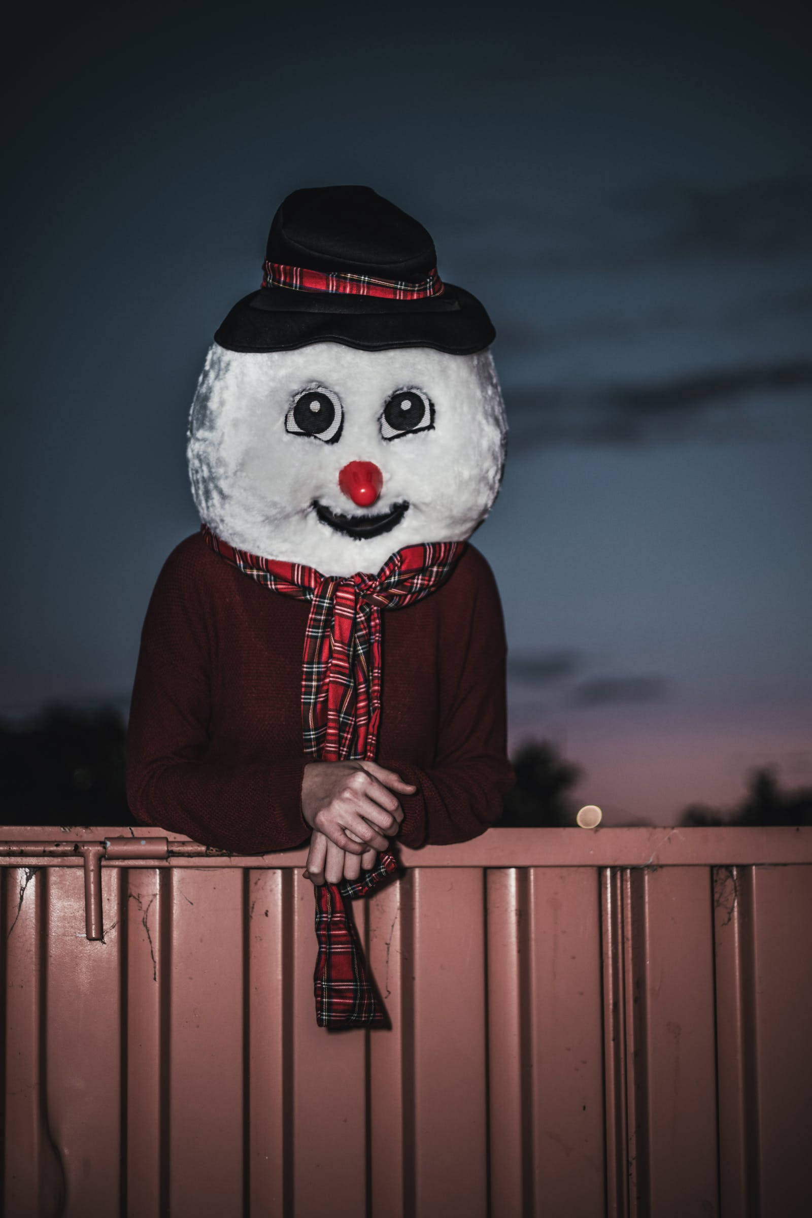 snowman costume, red nose, plaid scarf, Full HD Phone Wallpaper