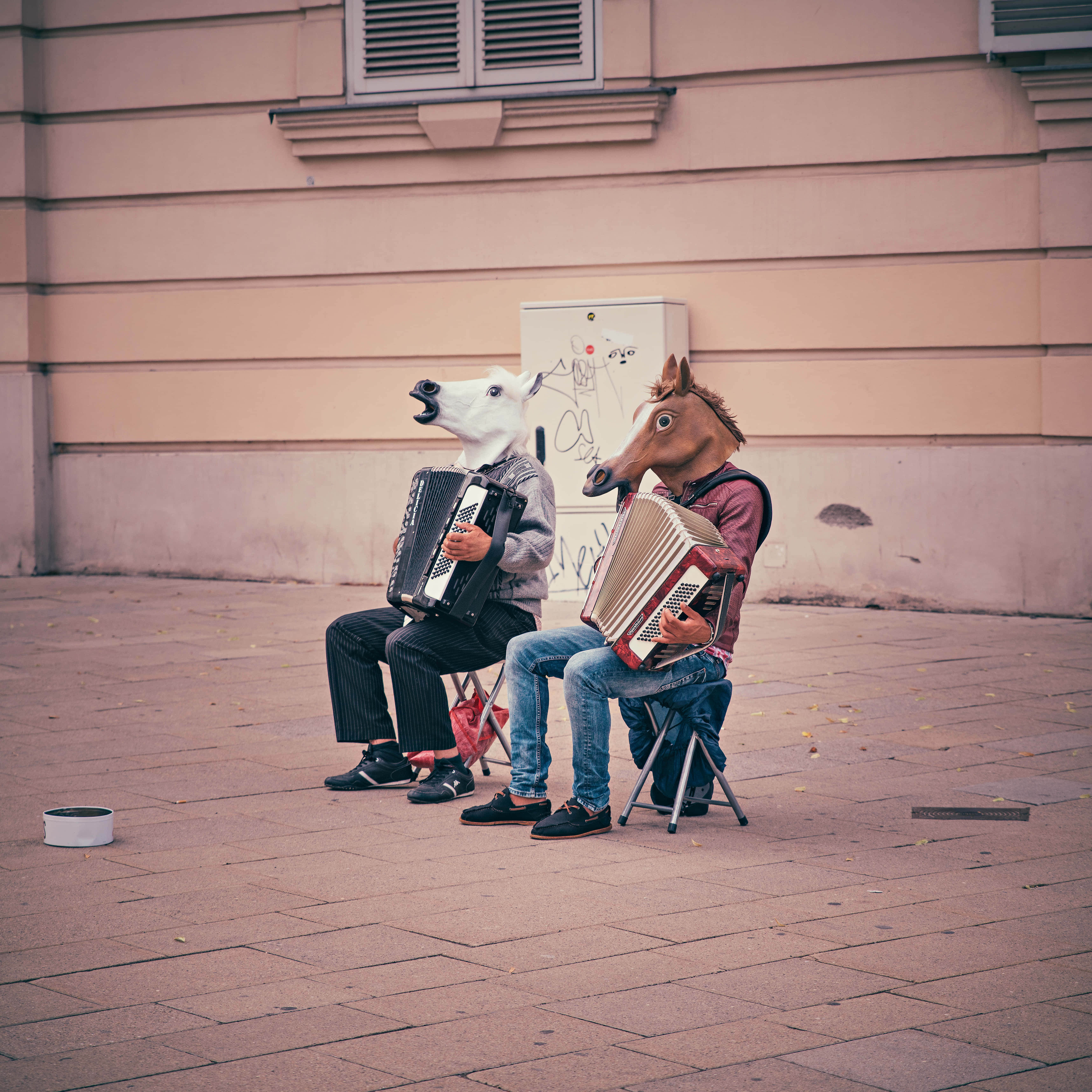 Funny Clean, horse masks, accordions, 5K Desktop Wallpaper