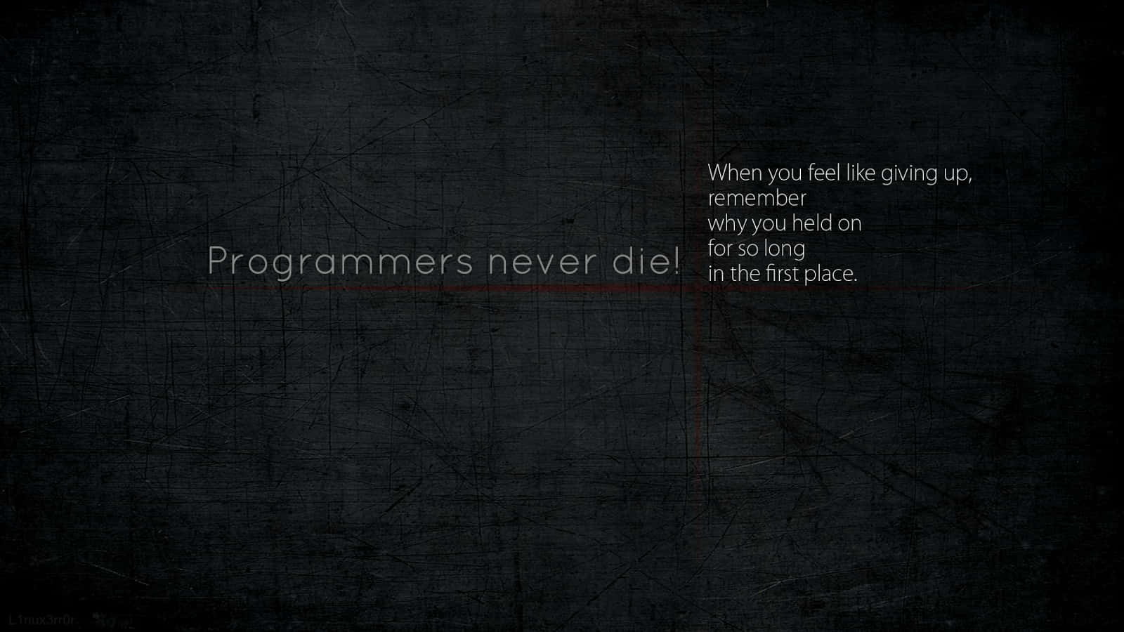 Dark textured background with white text stating 'Programmers never die' and a motivational quote in the corner., HD Desktop Wallpaper