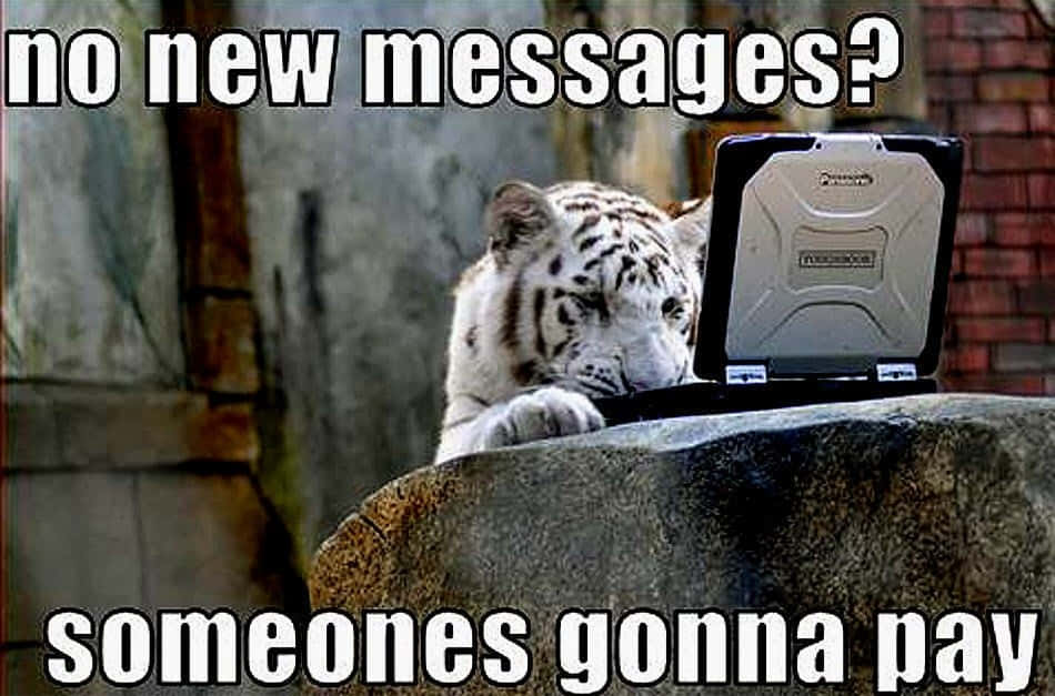 snow leopard, rugged laptop, text overlay reading no new messages? someones gonna pay, SD Desktop Wallpaper