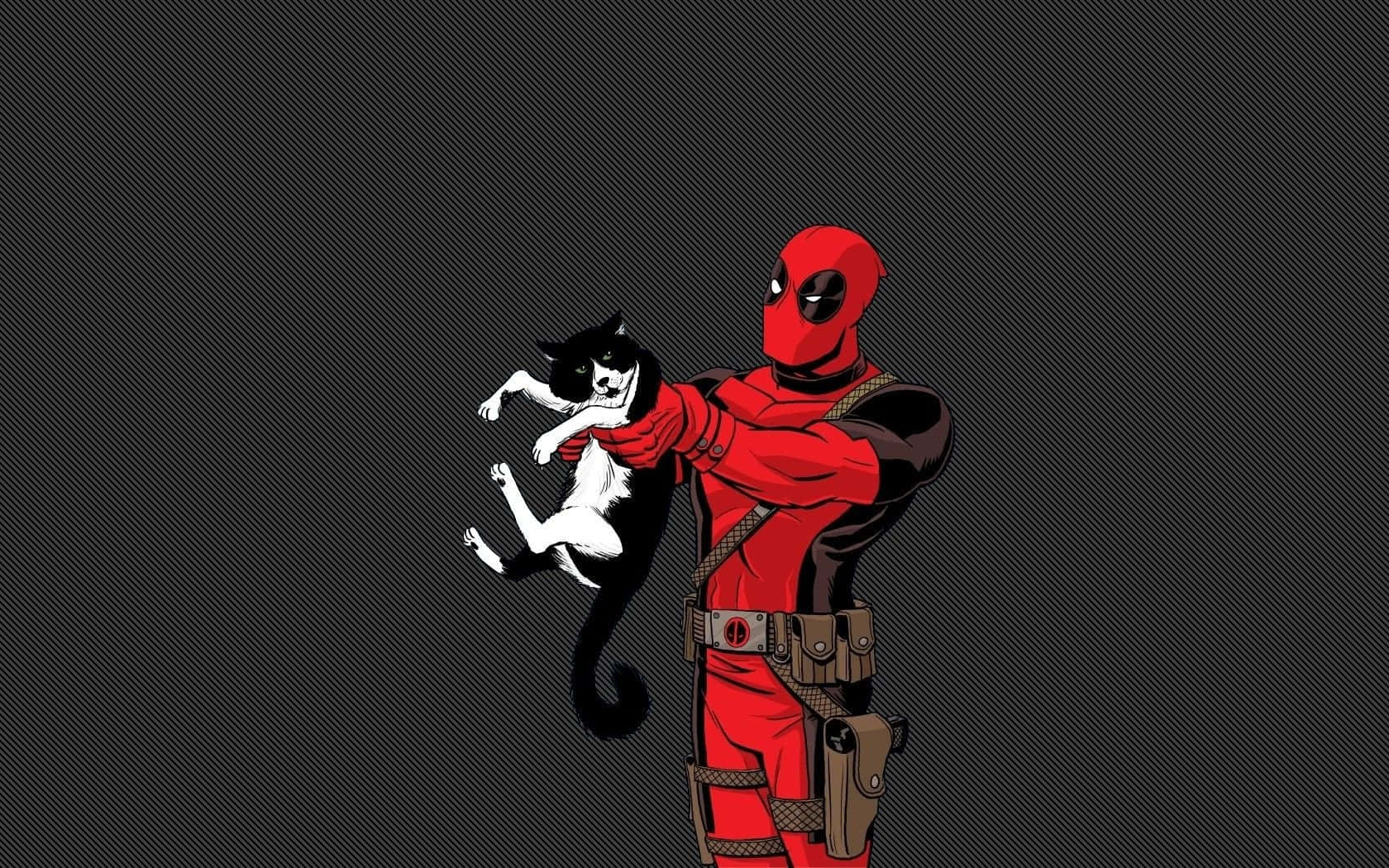 Deadpool, red suit, black and white cat, HD Desktop Wallpaper