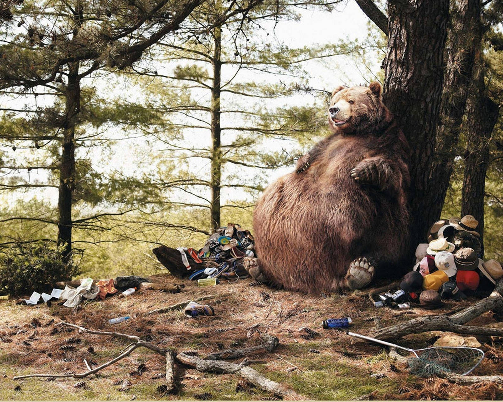 bear, brown bear, forest, HD Desktop Wallpaper