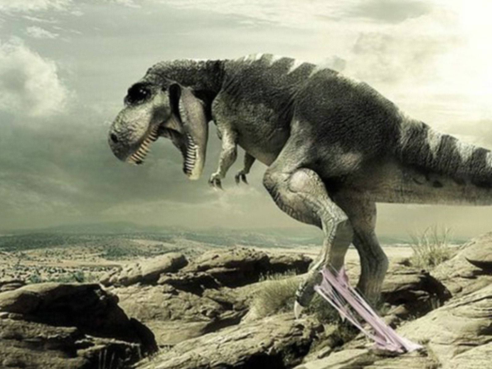 t-rex, rocky terrain, cloudy sky, HD Desktop Wallpaper