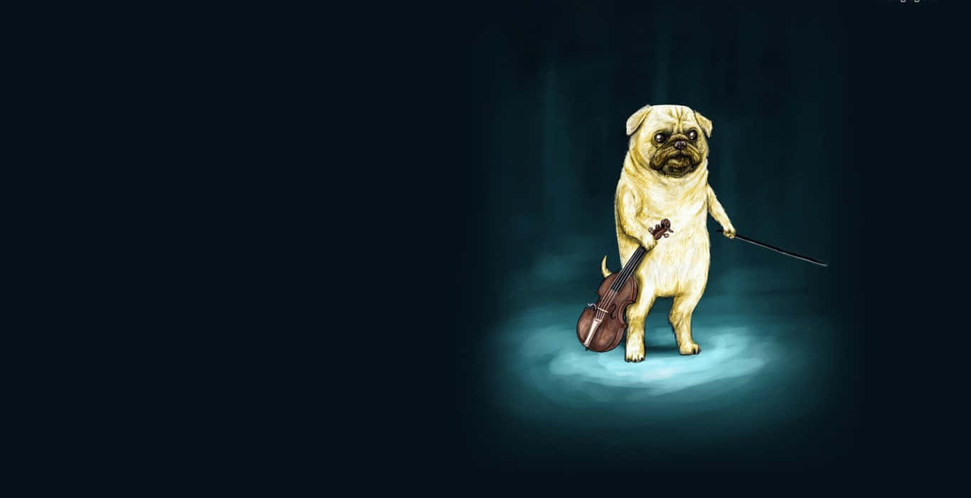 pug, spotlighted stage, violin, HD Desktop Wallpaper