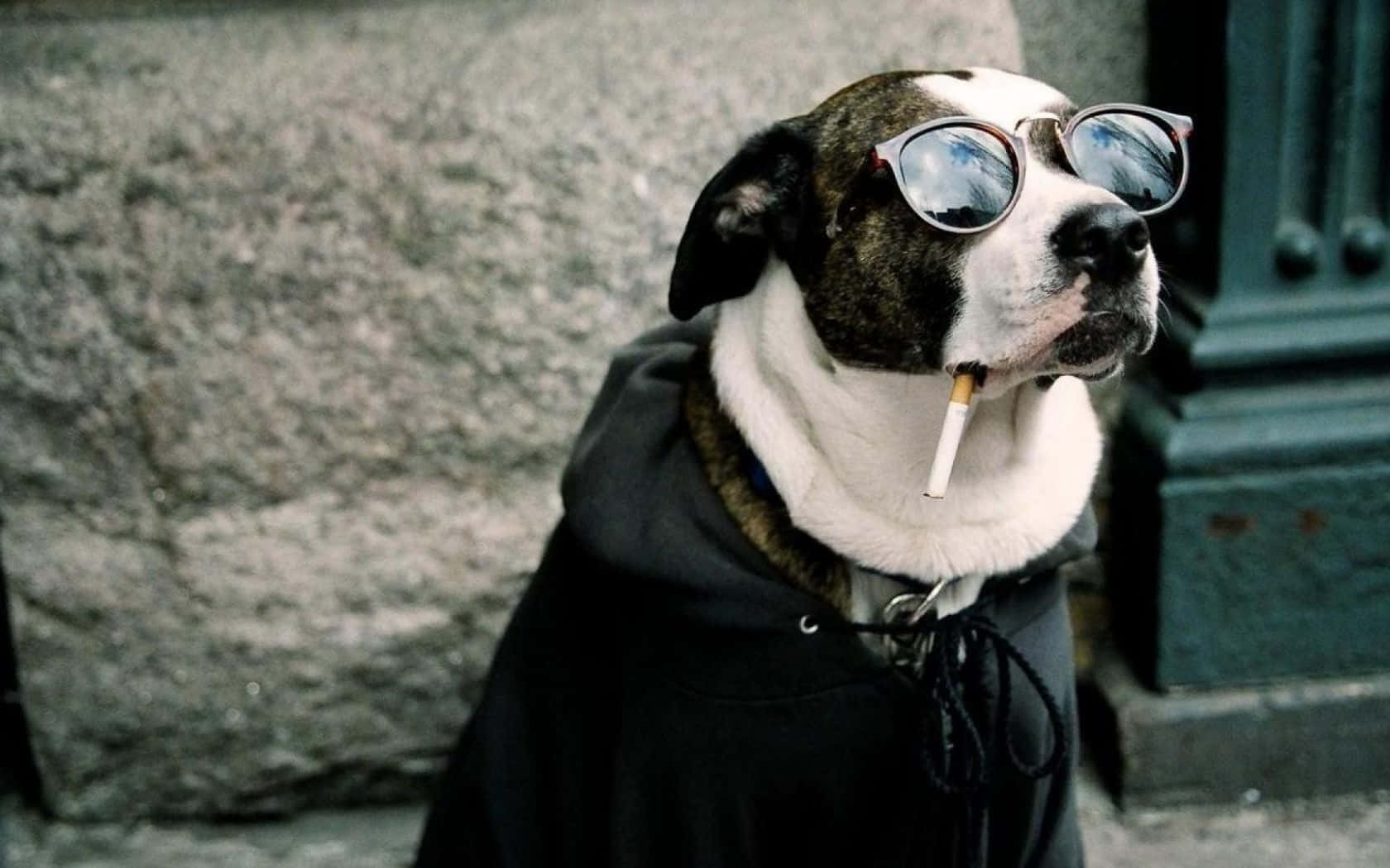 sunglasses, hoodie, cigarette, HD Desktop Wallpaper