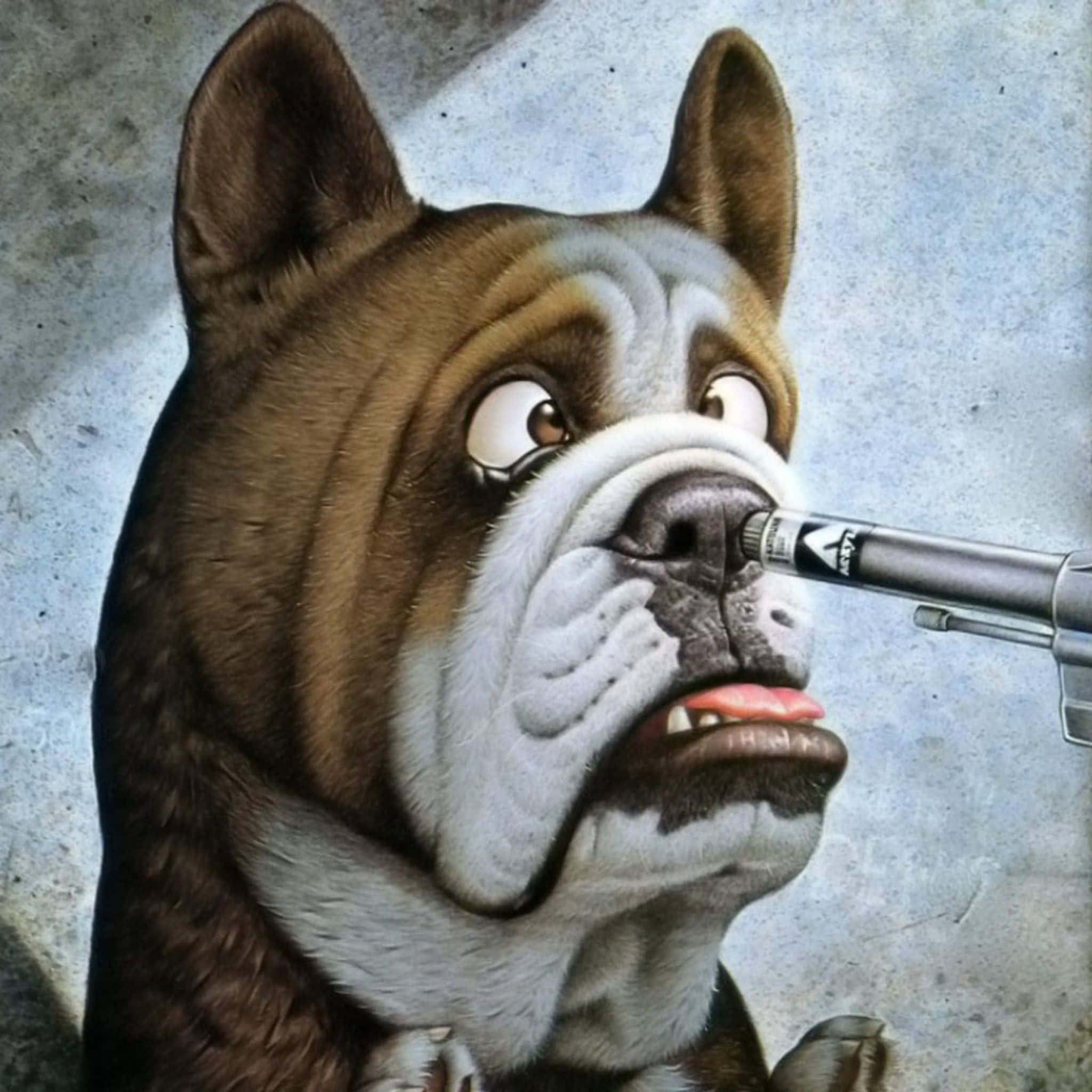 bulldog, pen, textured gray wall, Full HD Desktop Wallpaper