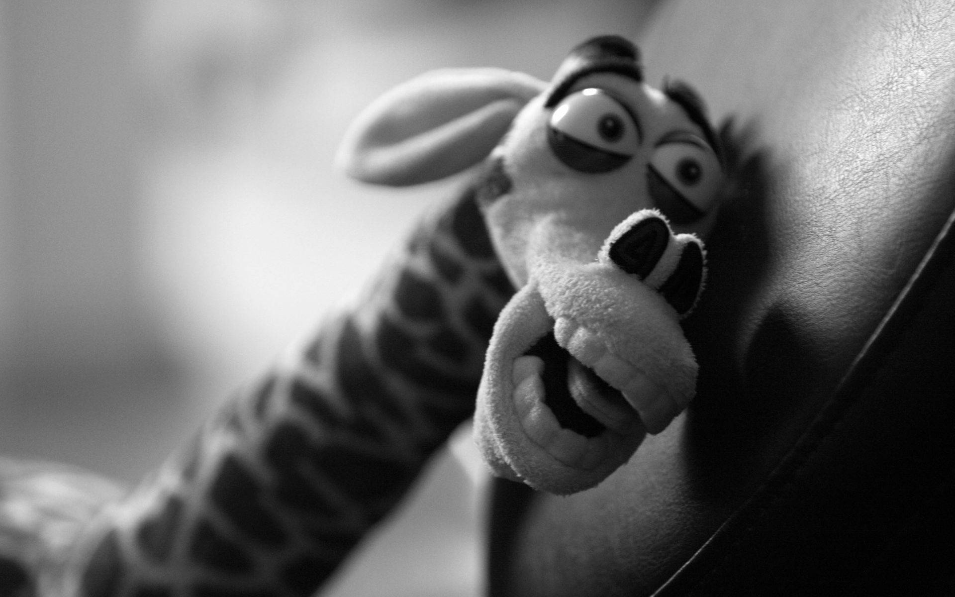 Weird Black Giraffe, plush giraffe toy, wide eyes, Full HD Desktop Wallpaper