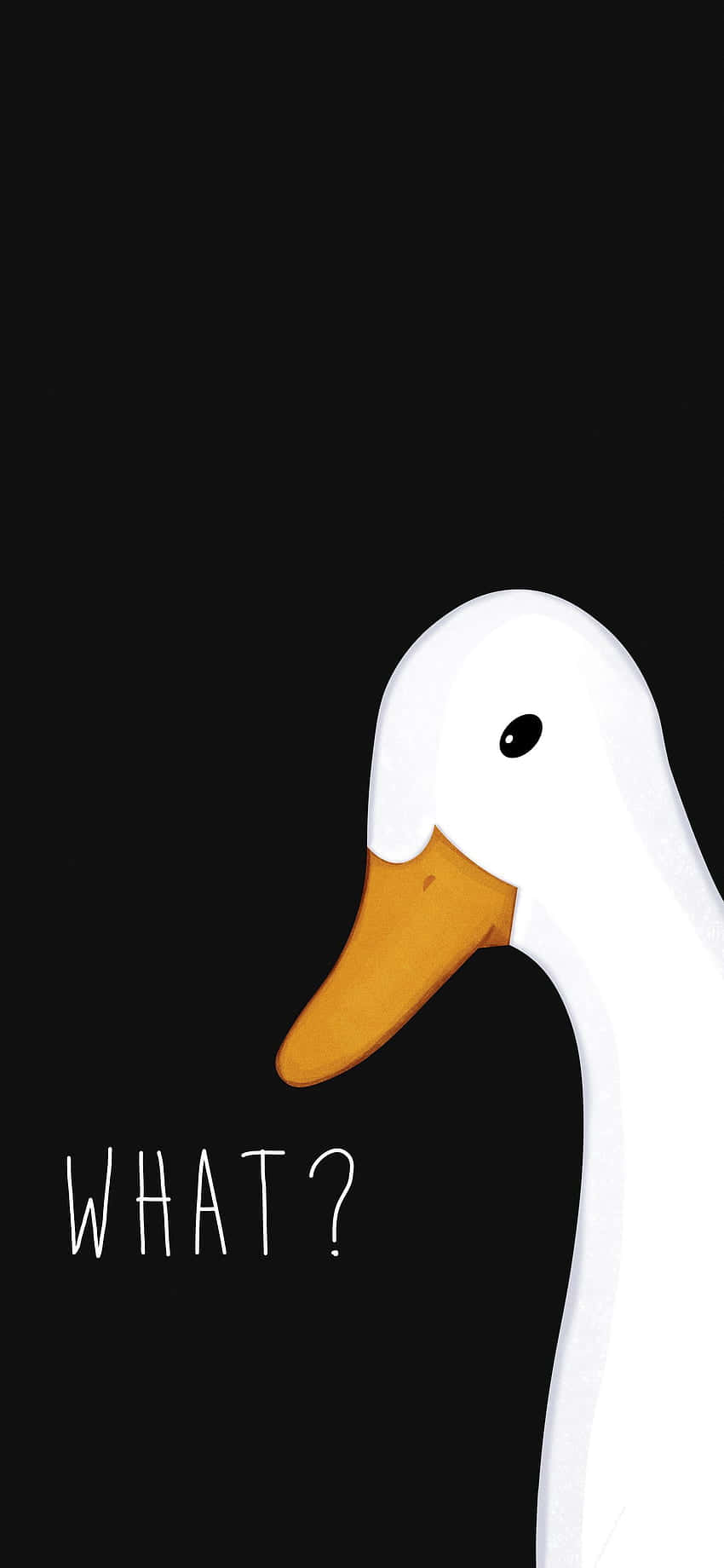 Funny Goose, white duck, orange beak, HD Phone Wallpaper