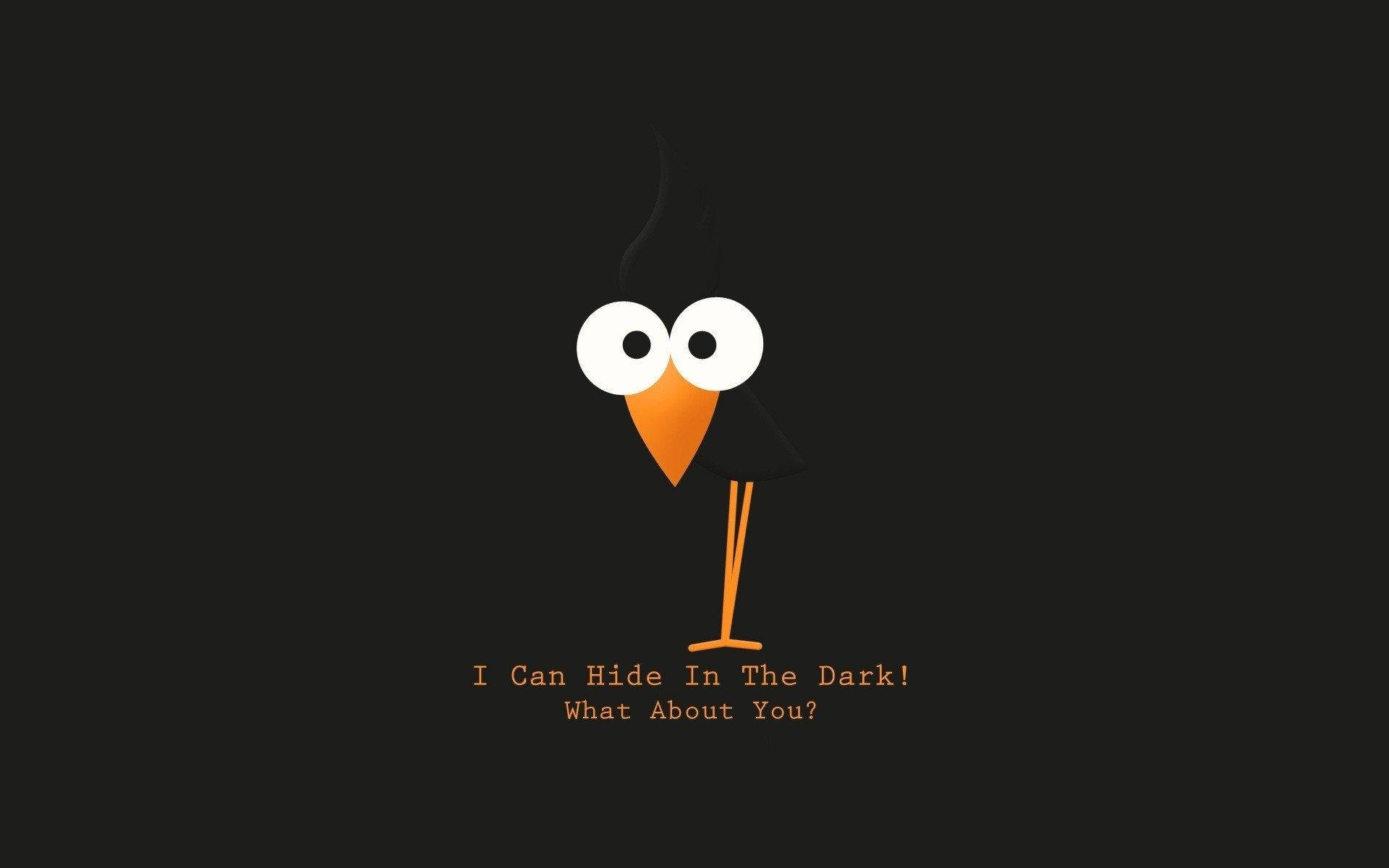 Funny Goose, black background, large white eyes, Full HD Desktop Wallpaper