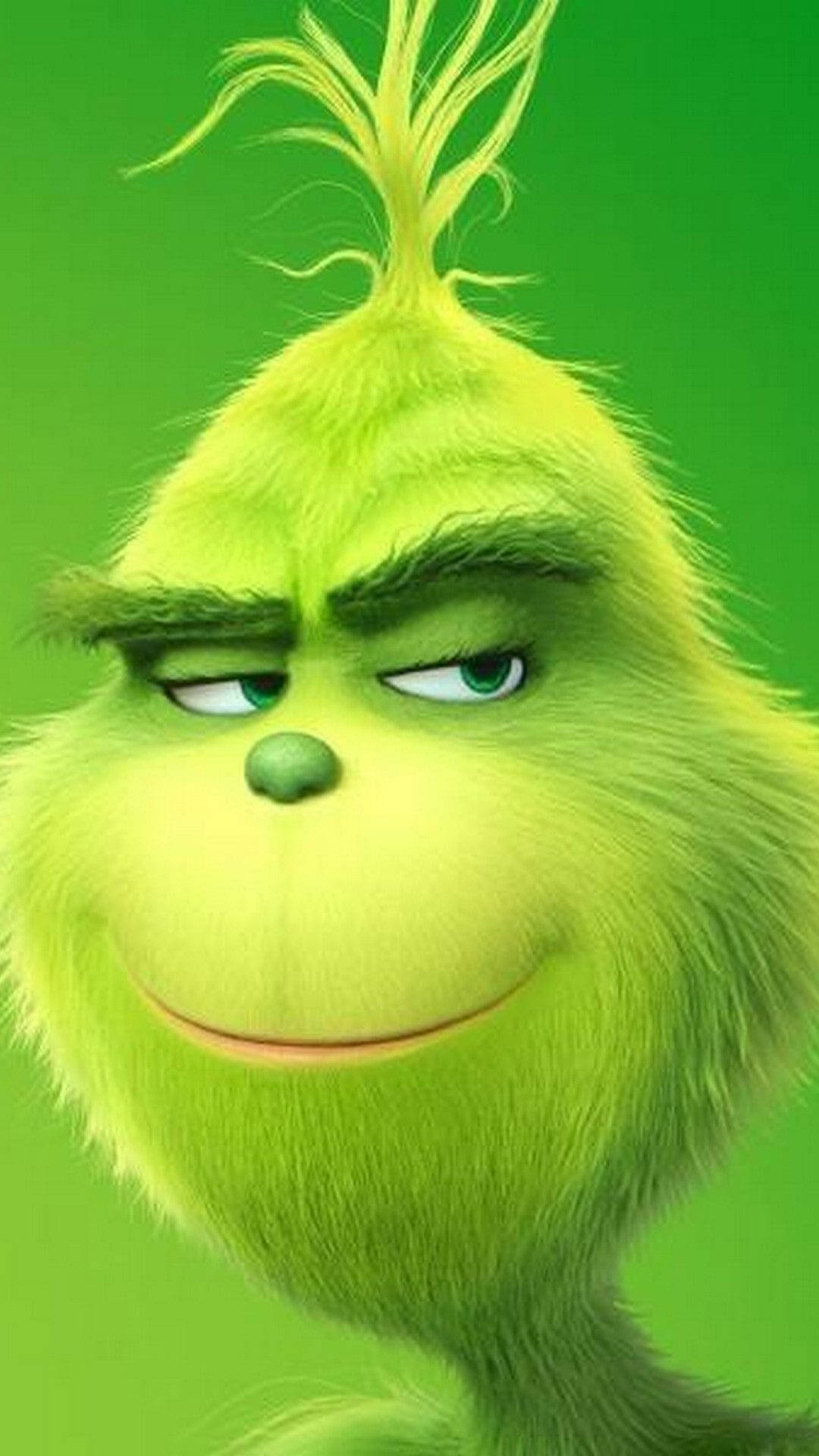 The Grinch, smirking, grumpy green face, Full HD Phone Wallpaper