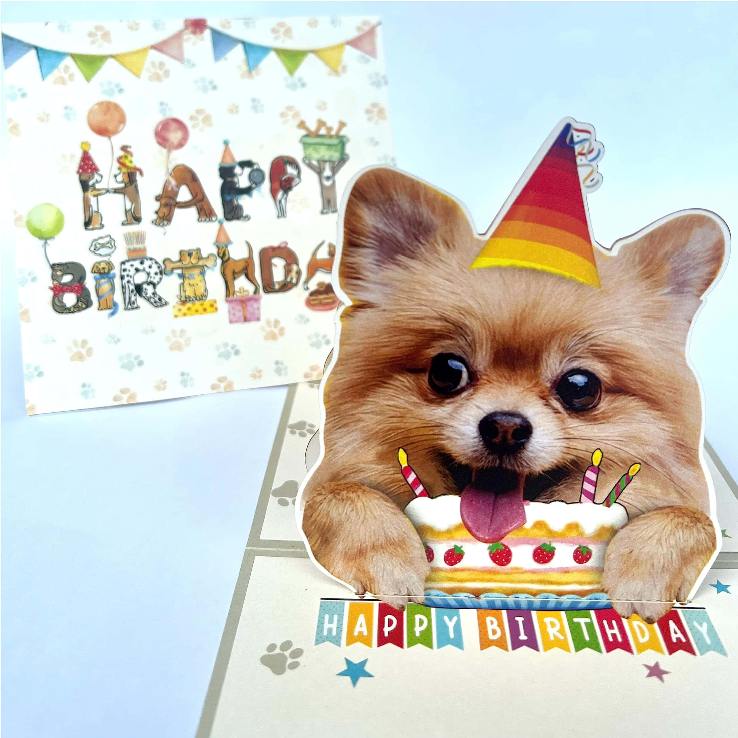 pomeranian dog, rainbow party hat, strawberry cake, 2K Desktop Wallpaper