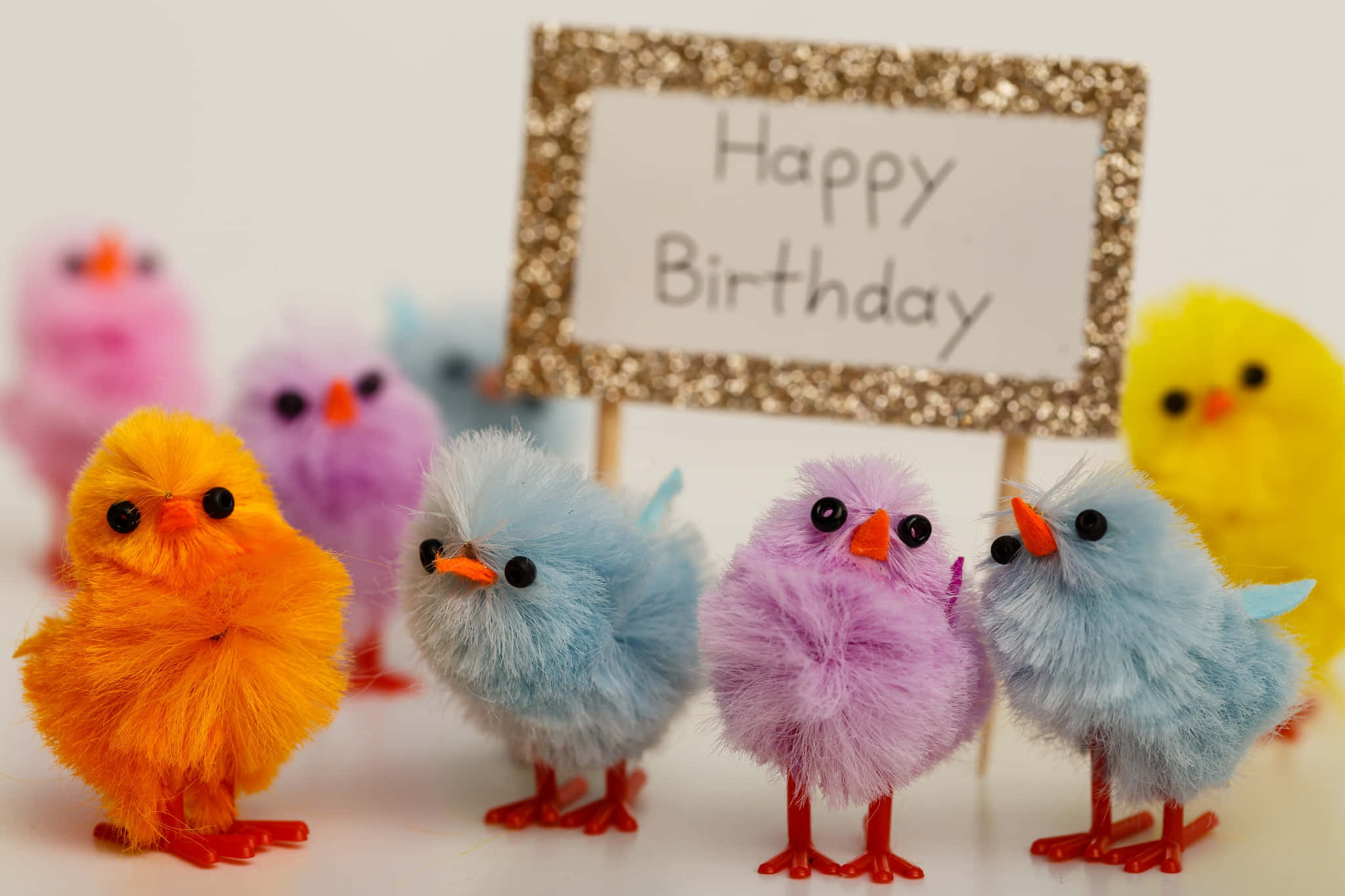 colorful chicks, glittery birthday sign, white surface, Full HD Desktop Wallpaper