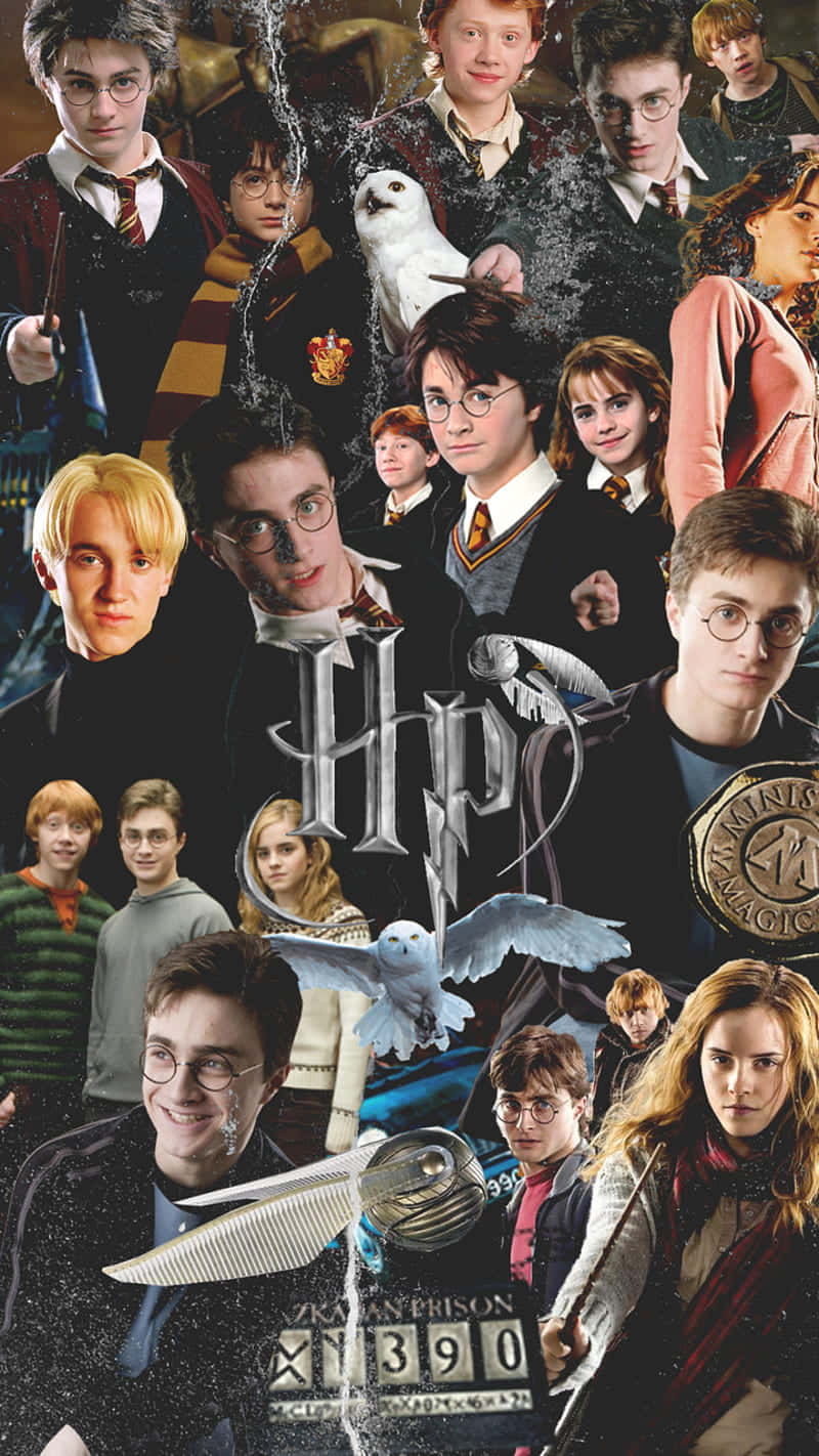 Harry Potter, owls, wands, HD Phone Wallpaper