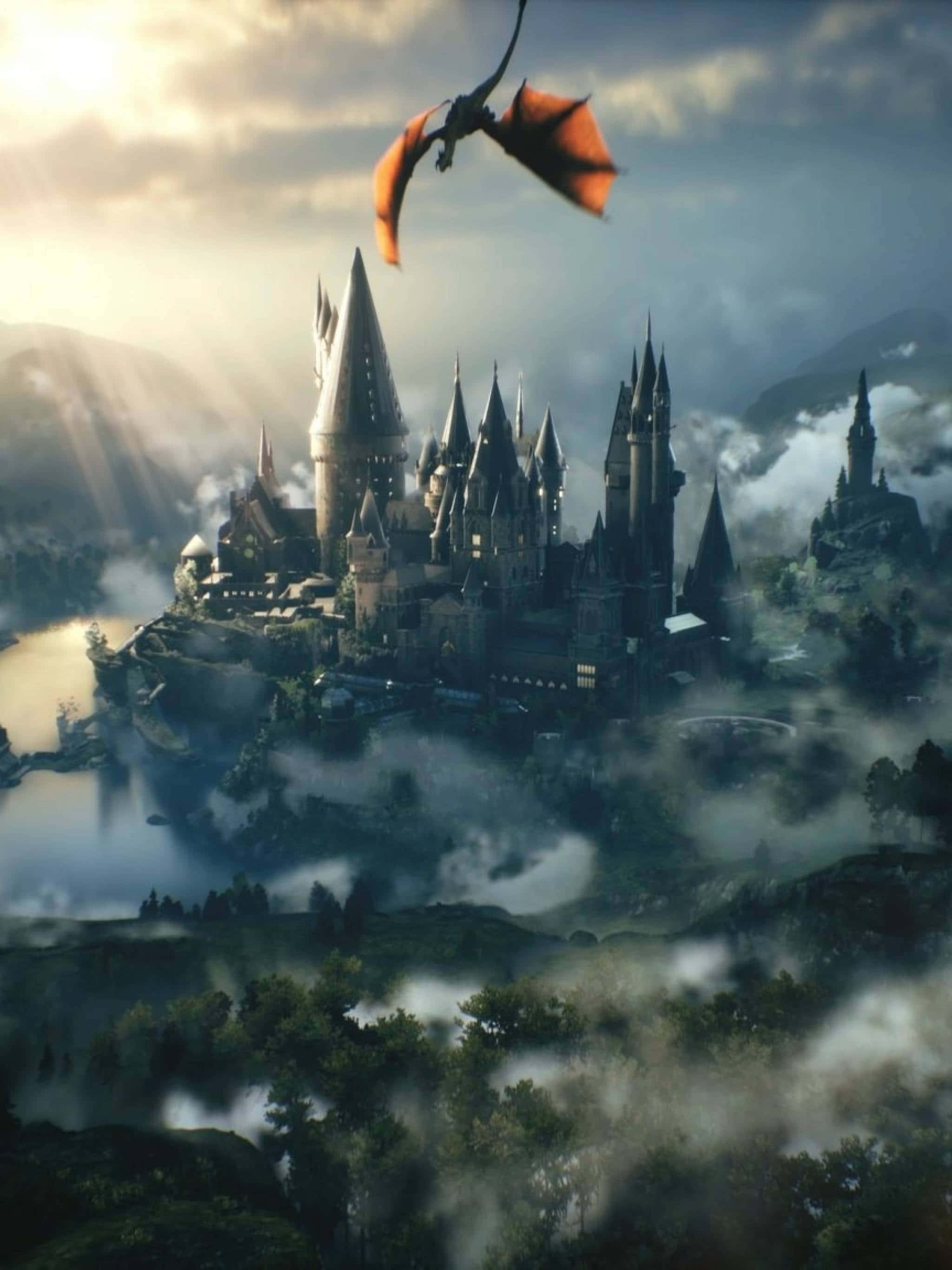 Harry Potter, castle, dragon, 2K Phone Wallpaper