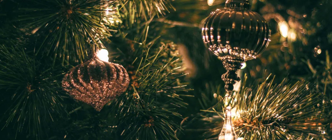 Funny Holiday Desktop