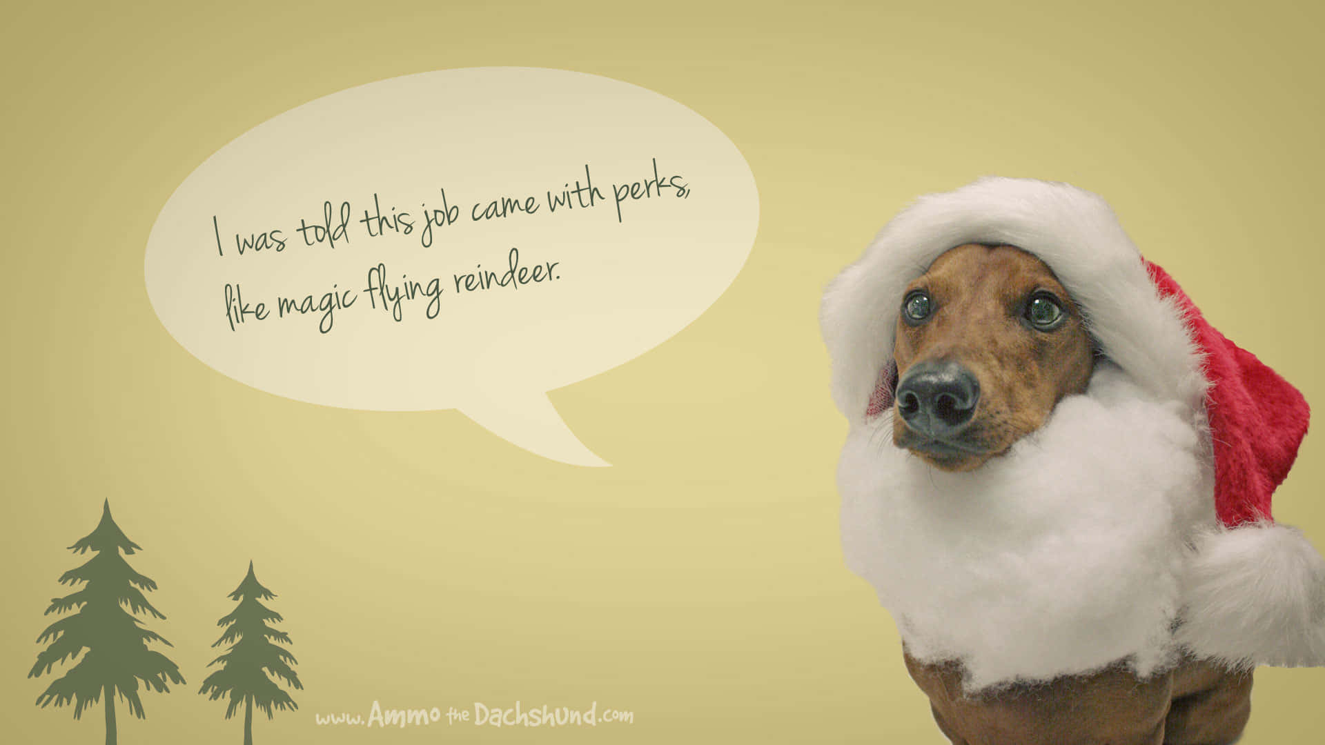 dachshund, Santa hat, speech bubble, Full HD Desktop Wallpaper