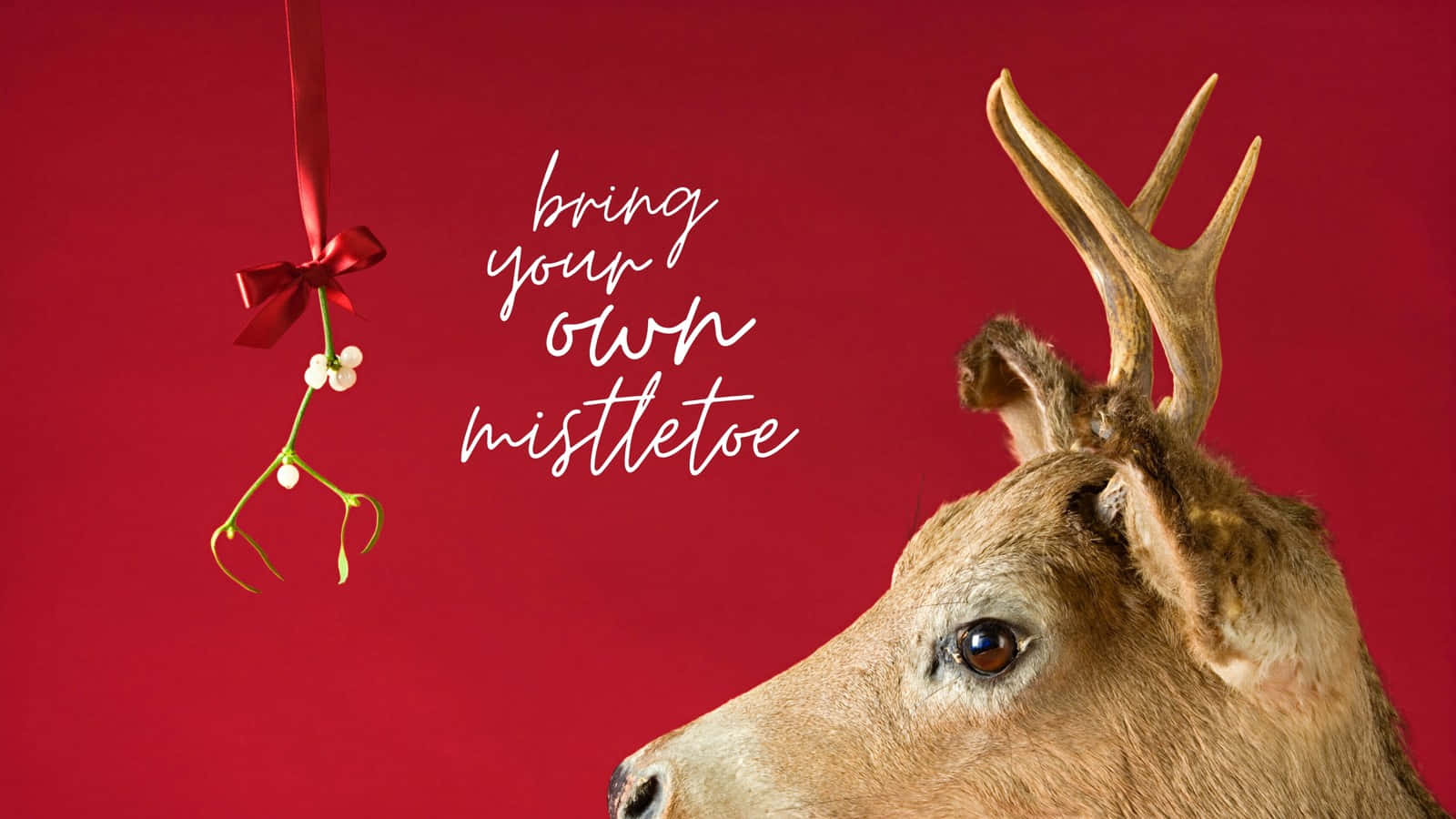 reindeer, mistletoe sprig, red bow, HD Desktop Wallpaper