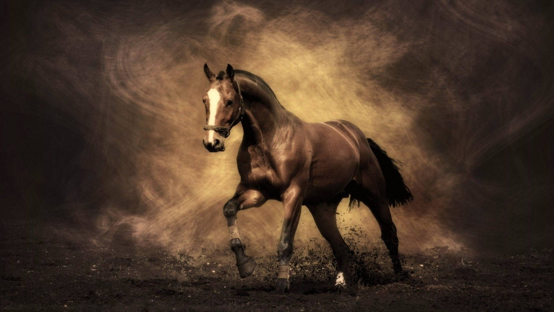 brown horse, white blaze, swirling golden dust, Full HD Desktop Wallpaper