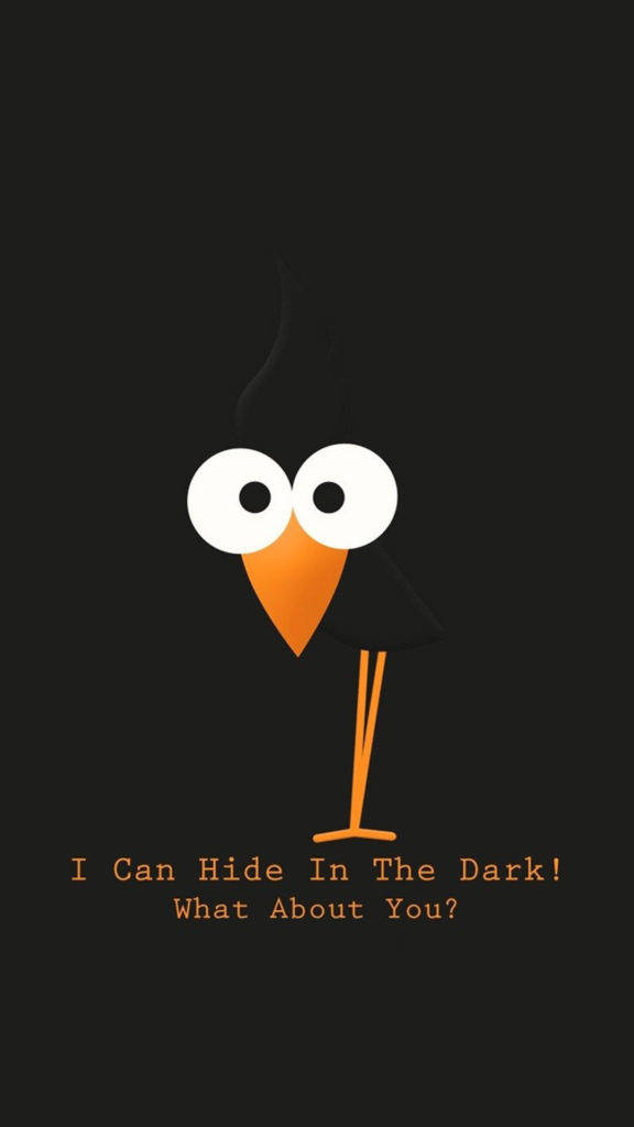 Funny iPhone, black background, orange bird, SD Phone Wallpaper