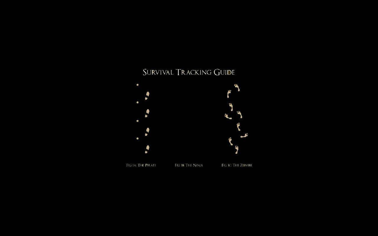 Funny Laptop, black background, glowing white text, HD Desktop Wallpaper