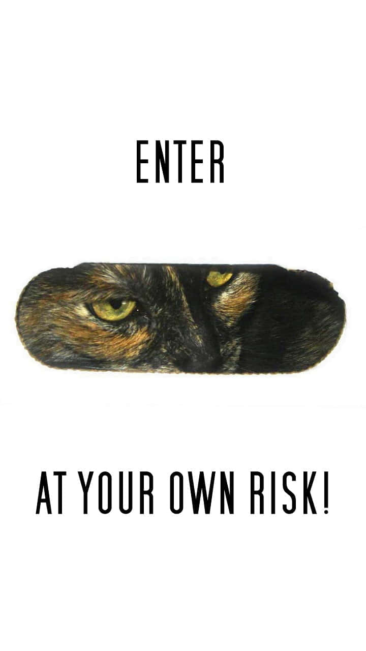skateboard deck, cat's face, glowing eyes, HD Phone Wallpaper