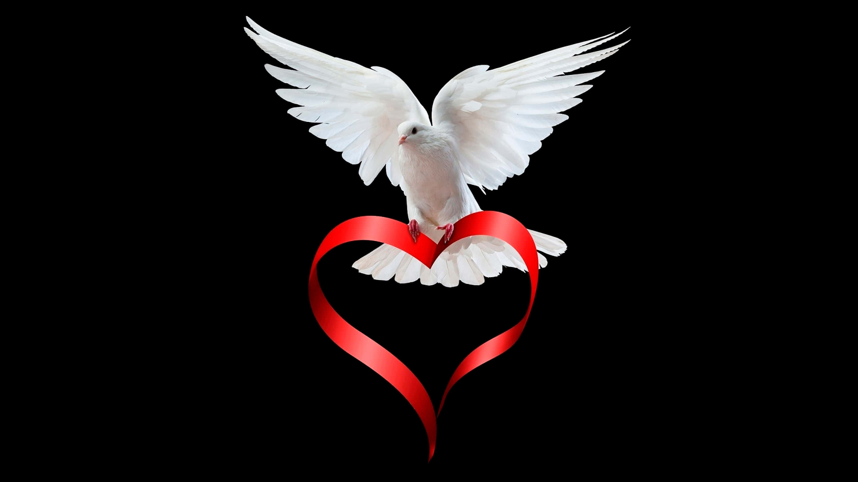 white dove, vibrant red heart-shaped ribbon, stark black background, 2K Desktop Wallpaper