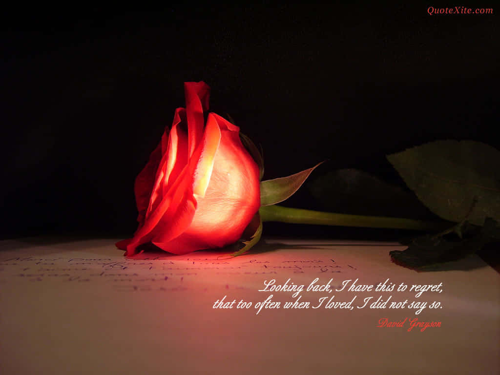 glowing red rose, handwritten paper, dramatic spotlight, SD Desktop Wallpaper