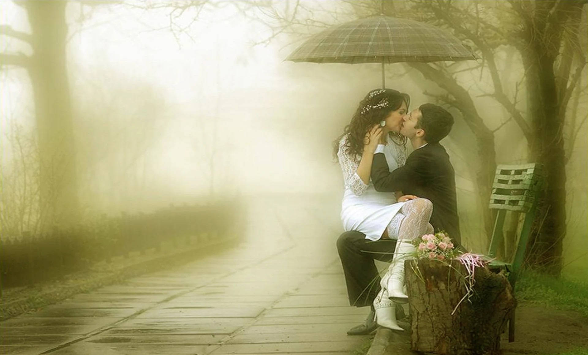 black umbrella, misty park bench, soft golden light, Full HD Desktop Wallpaper