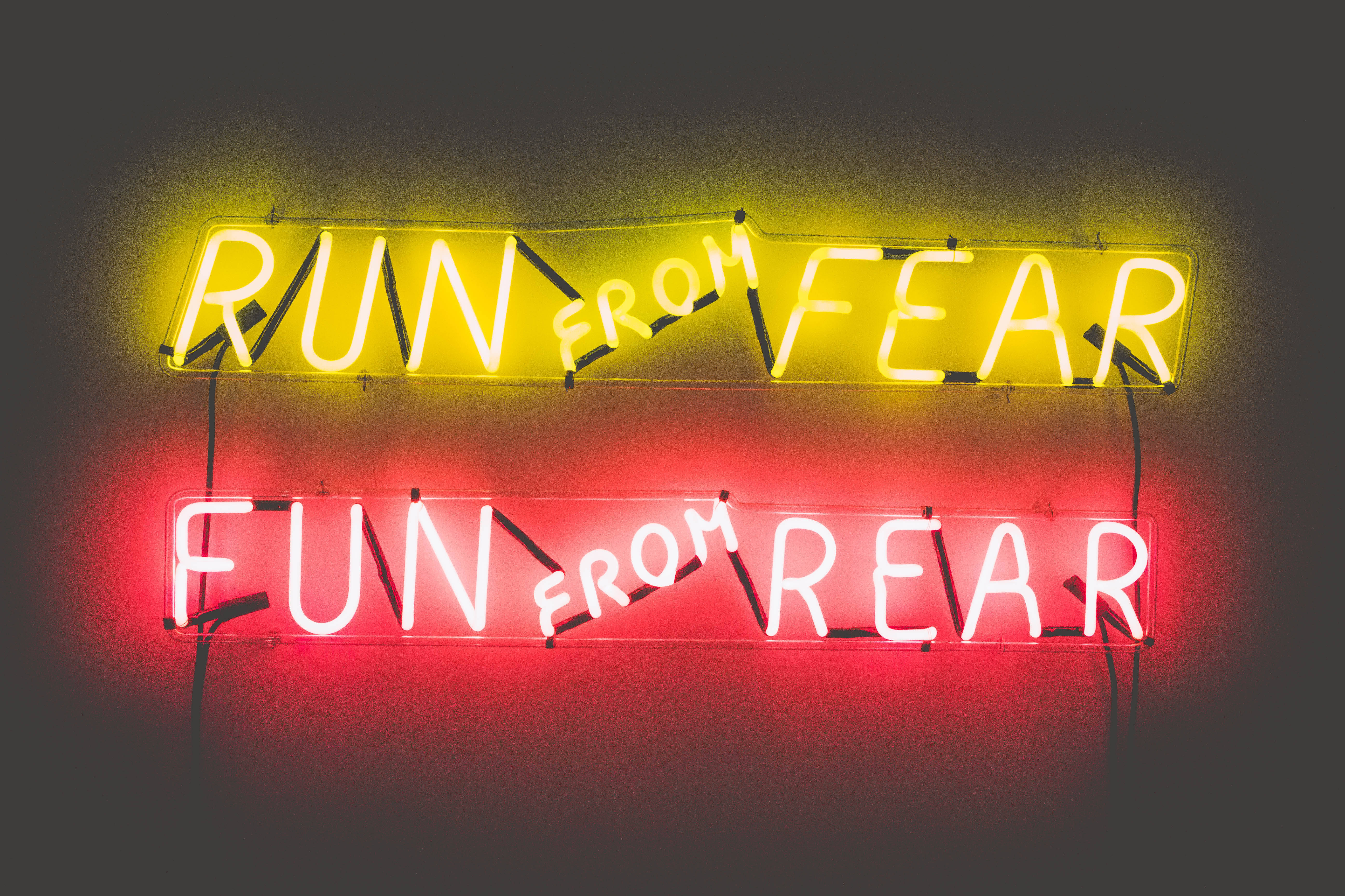 run from fear, fun from rear, neon signs, 5K Desktop Wallpaper