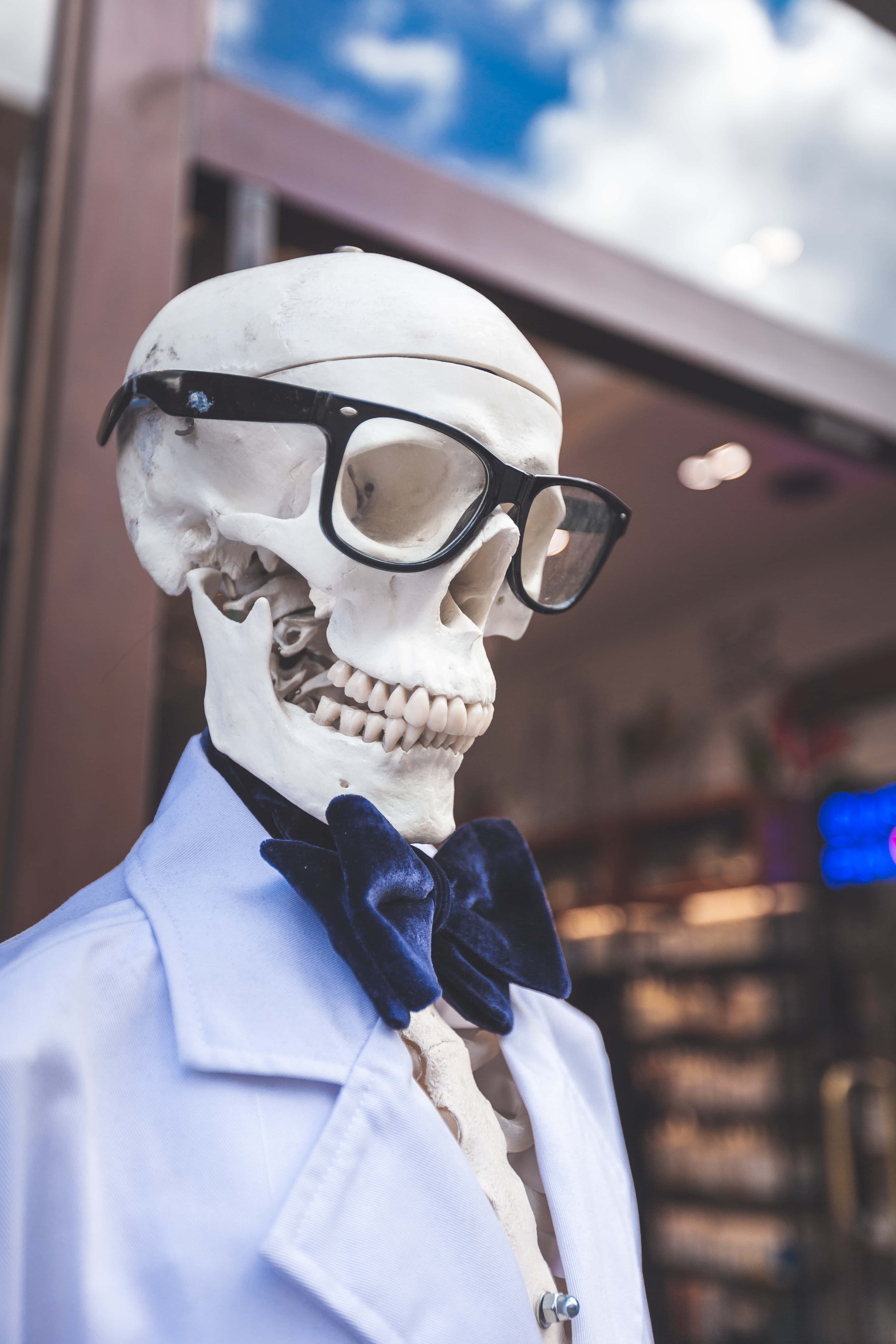 skeleton, black-rimmed glasses, navy velvet bow tie, 5K Phone Wallpaper