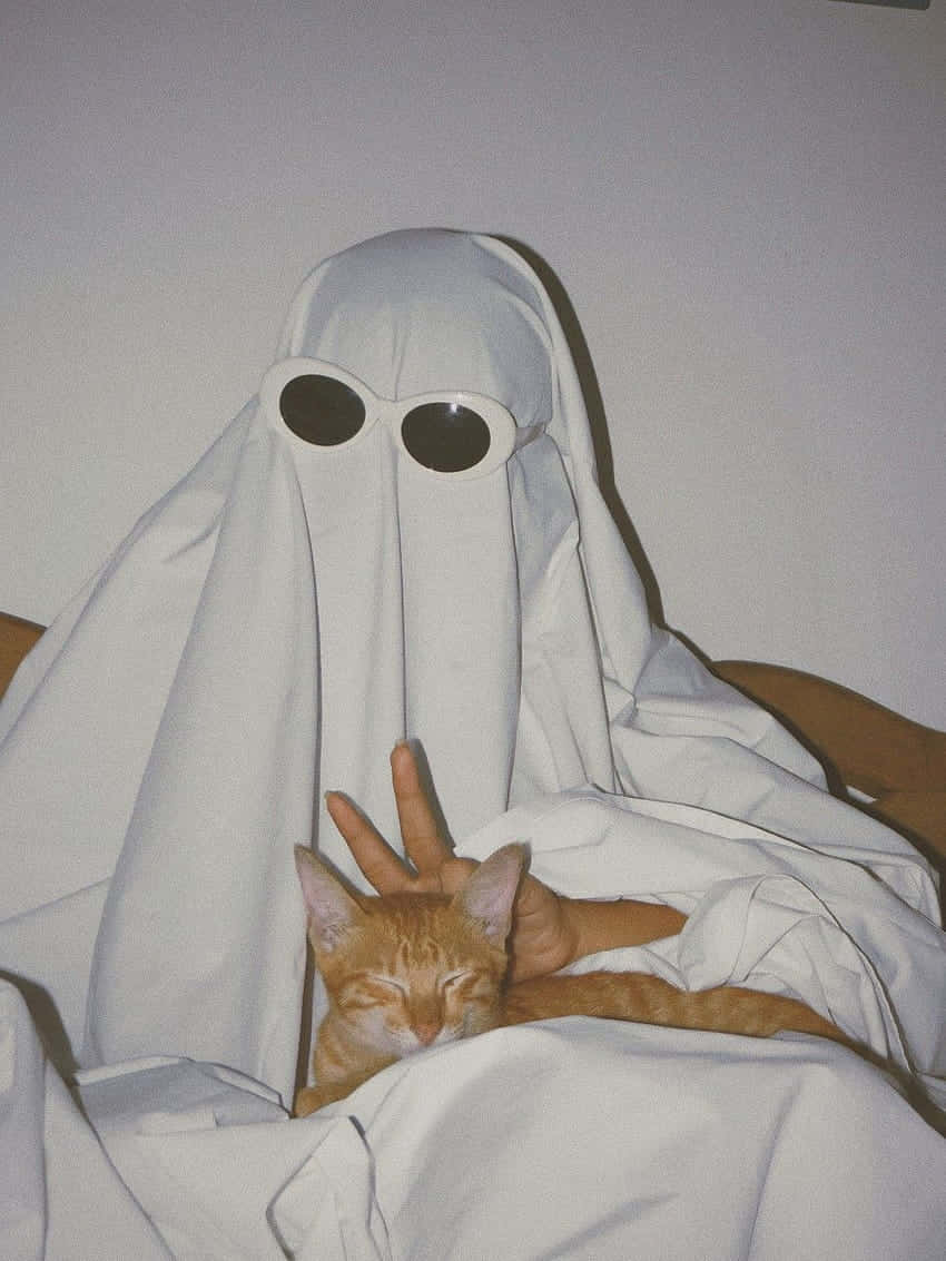 white ghost costume, large round eyes, sleeping orange cat, SD Phone Wallpaper