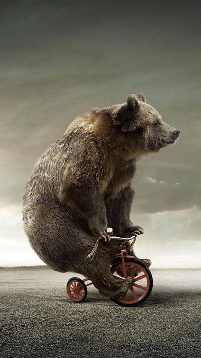 bear, tricycle, red tricycle, SD Phone Wallpaper