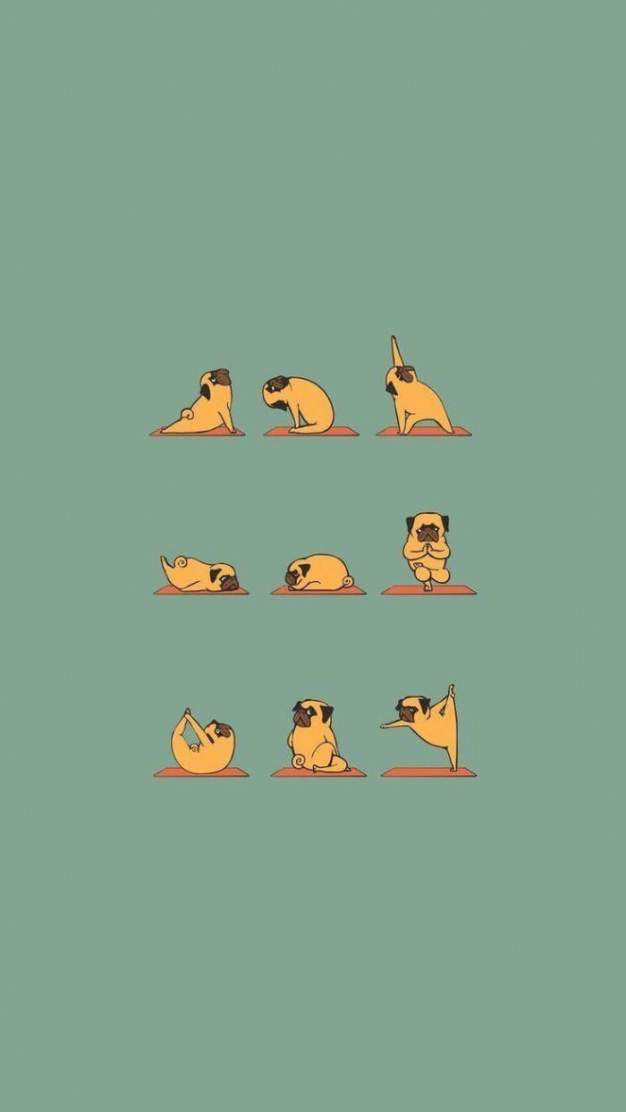 cute pug yoga, cartoon style, sage green background, SD Phone Wallpaper